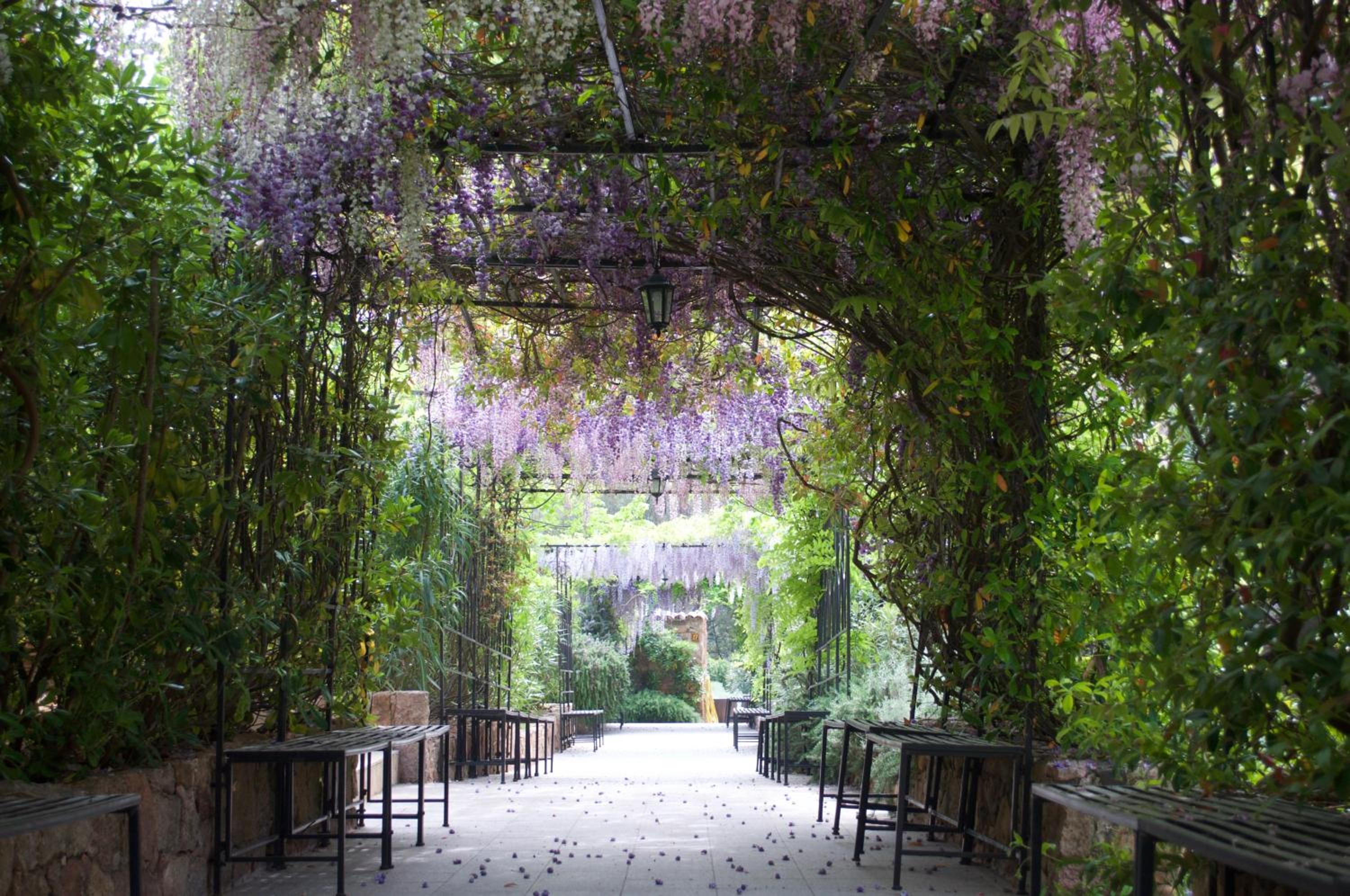 Domaine Codaleone