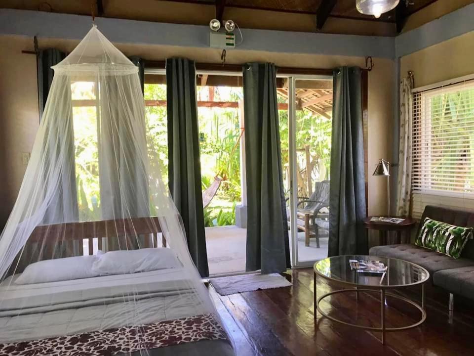 Siargao Residency - Generator & Starlink
