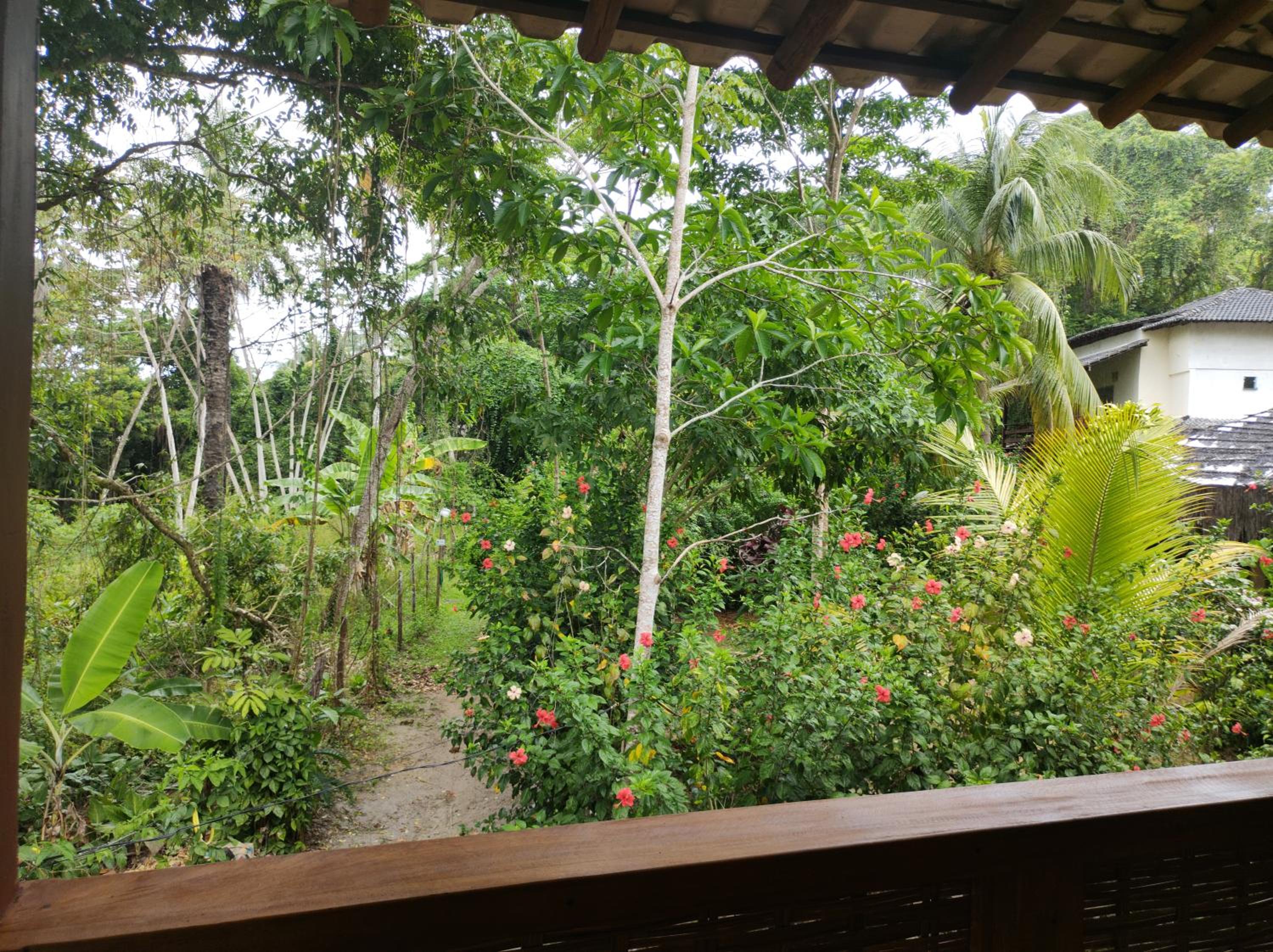 Campos Elísios Boipeba