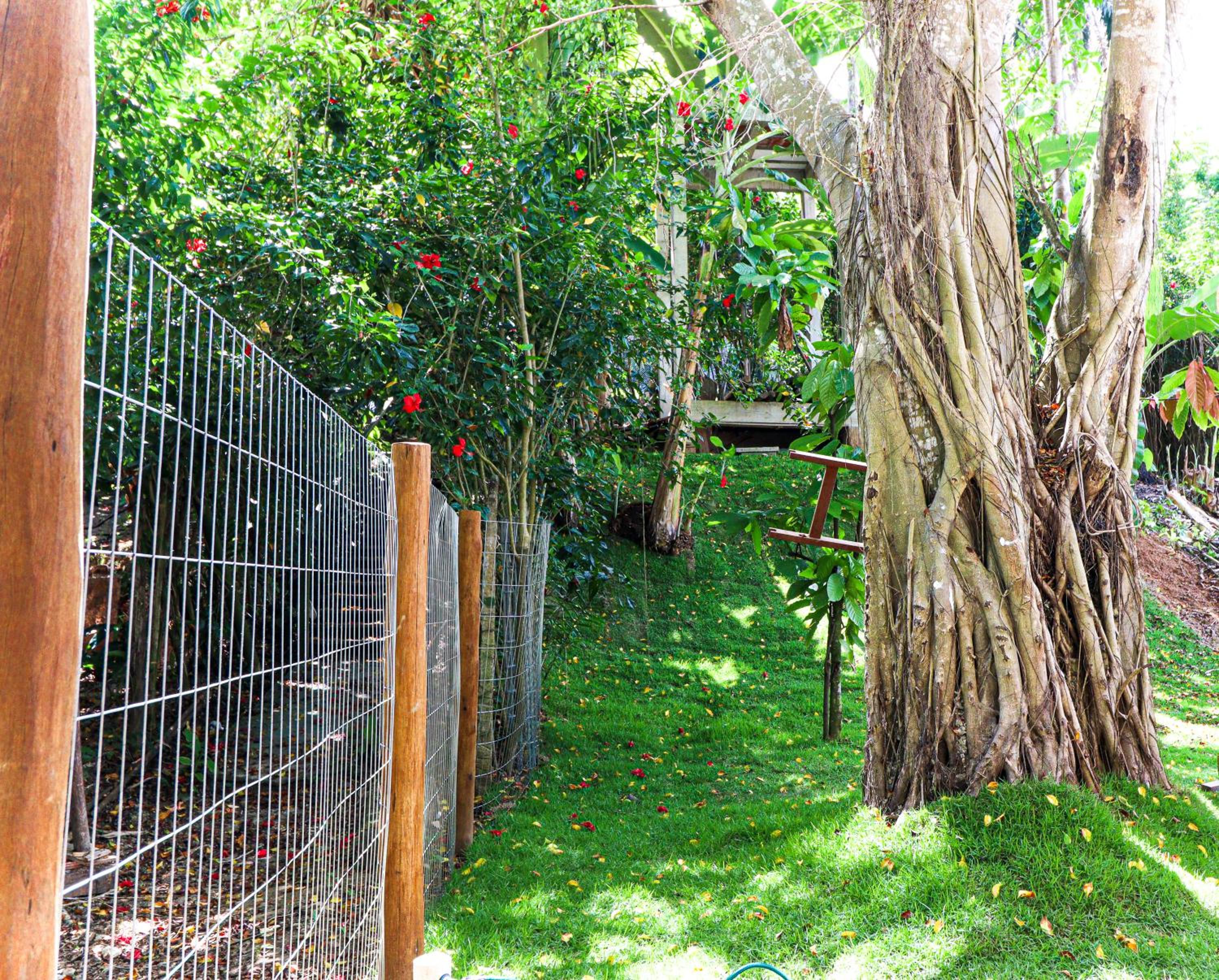 Campos Elísios Boipeba