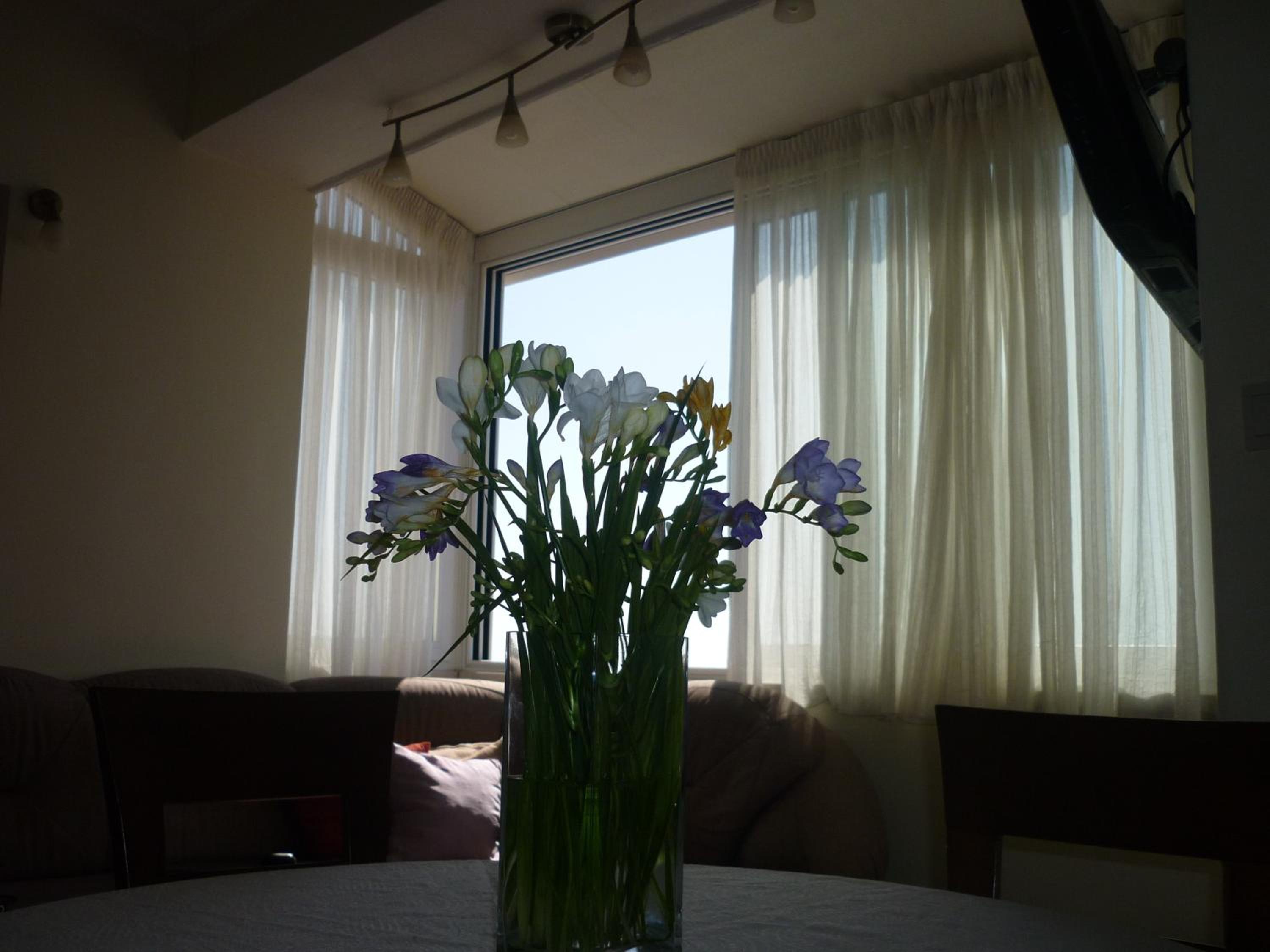 Apartment Kosović