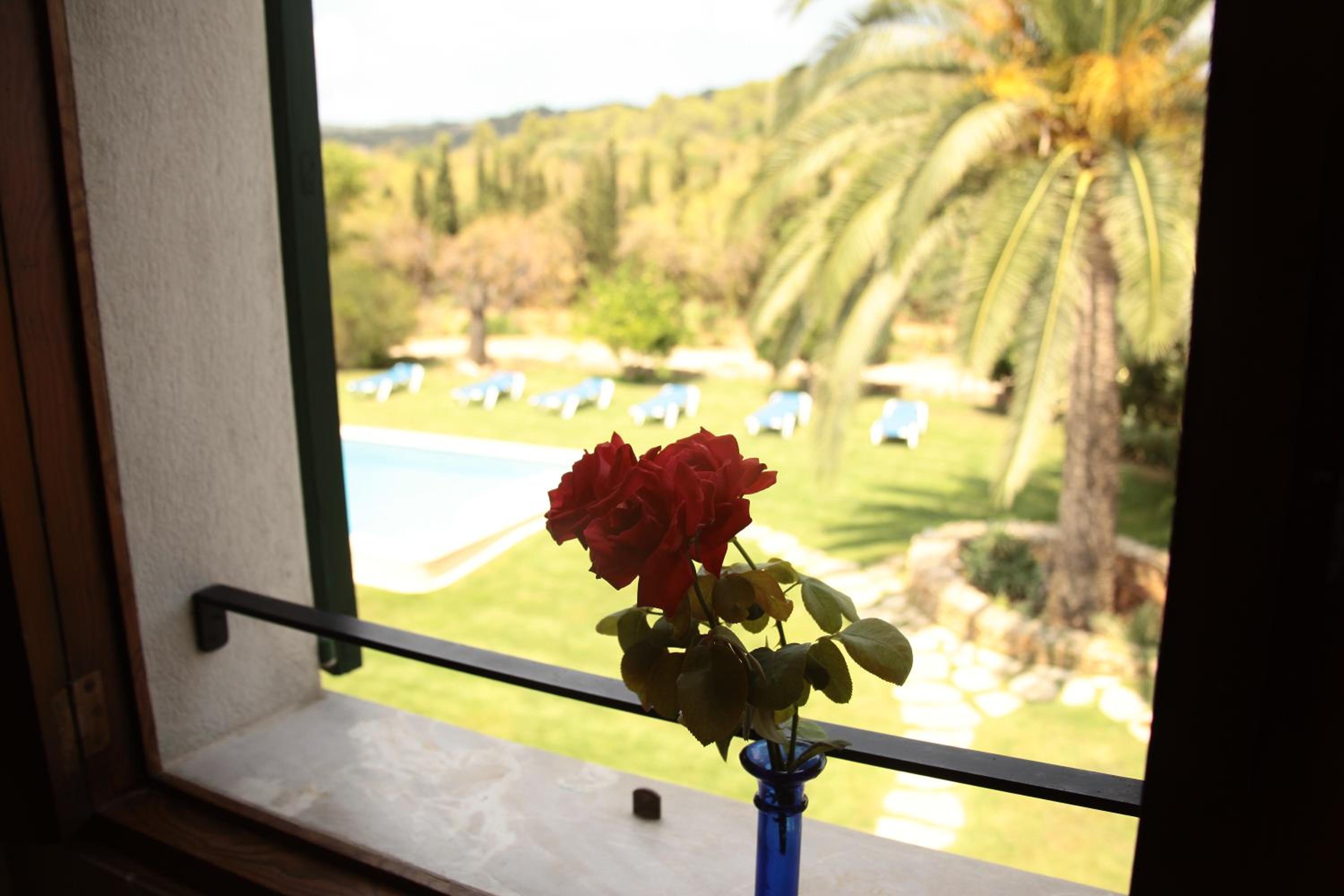 Photo 69