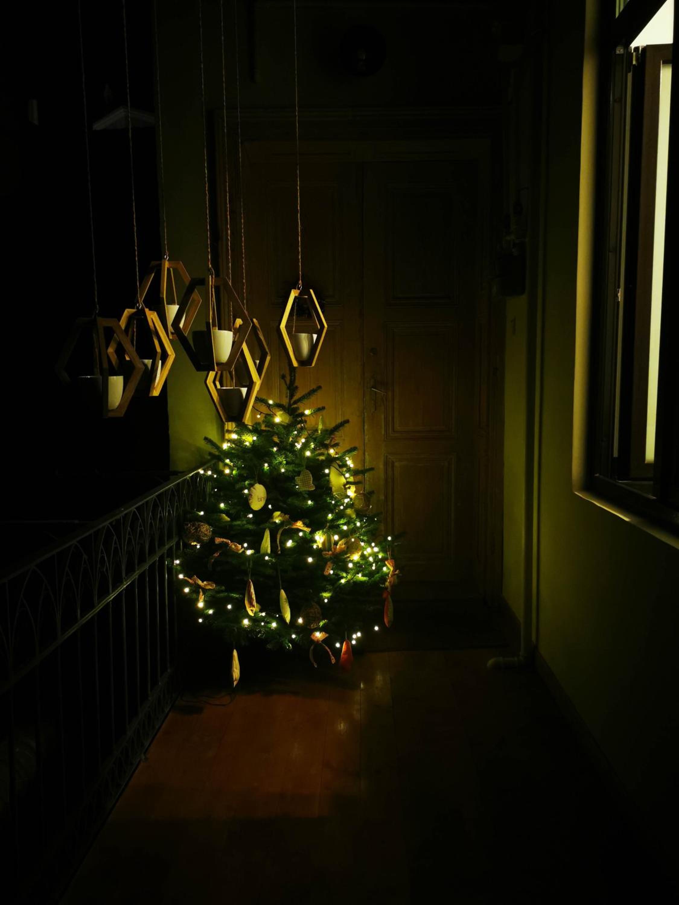 Photo 44