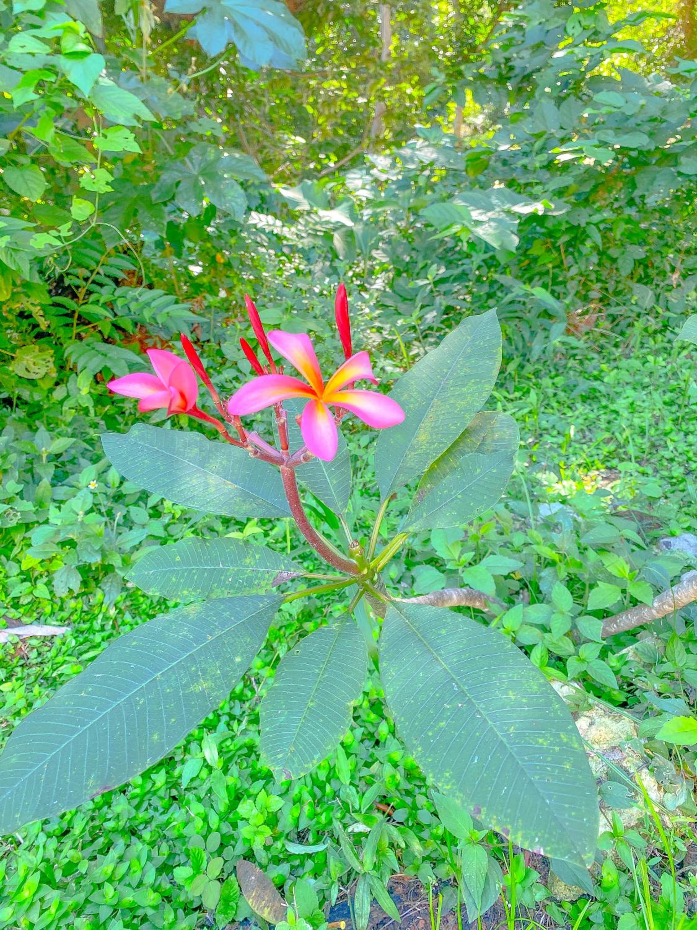 Photo 22