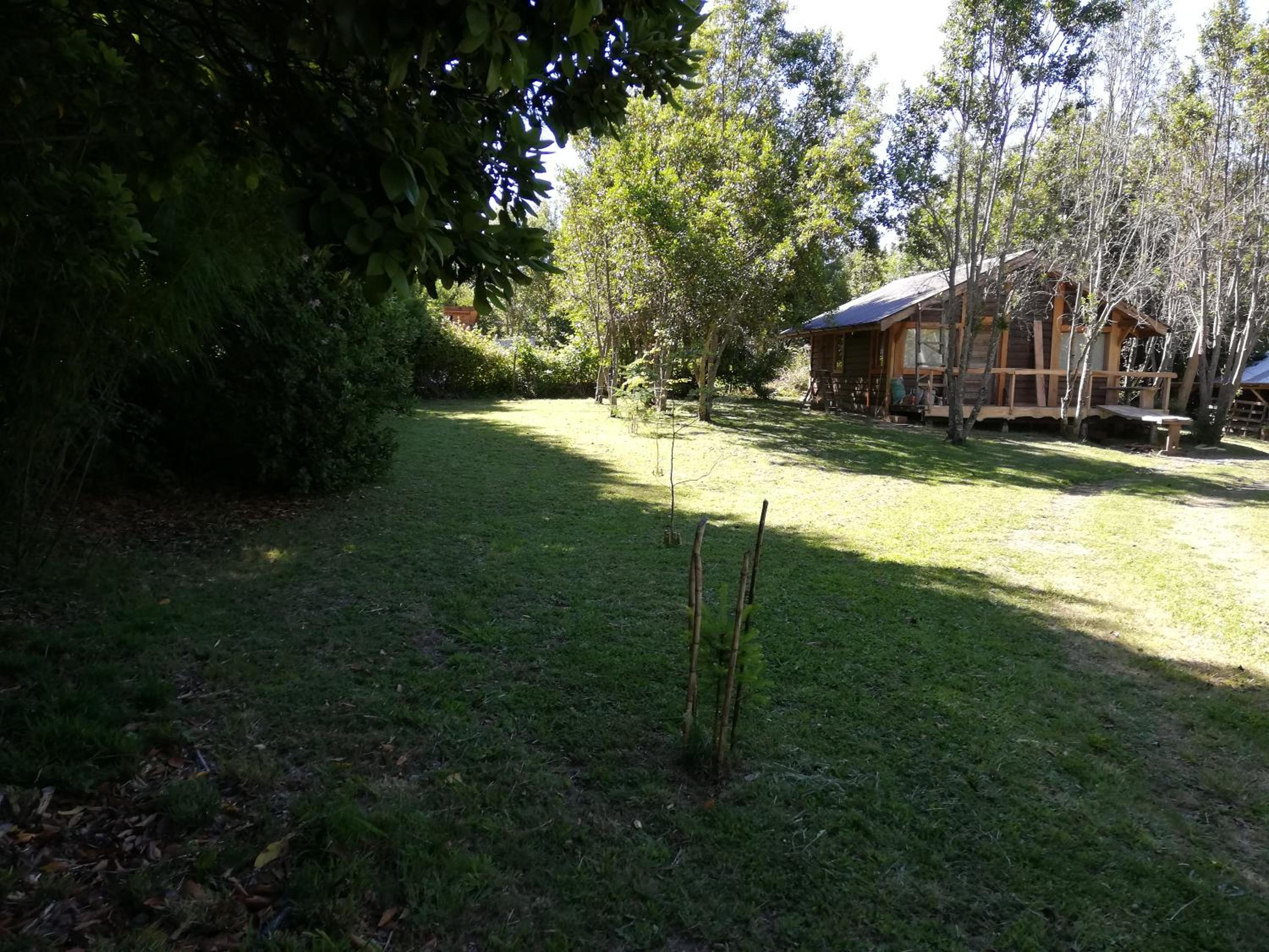 Photo 35