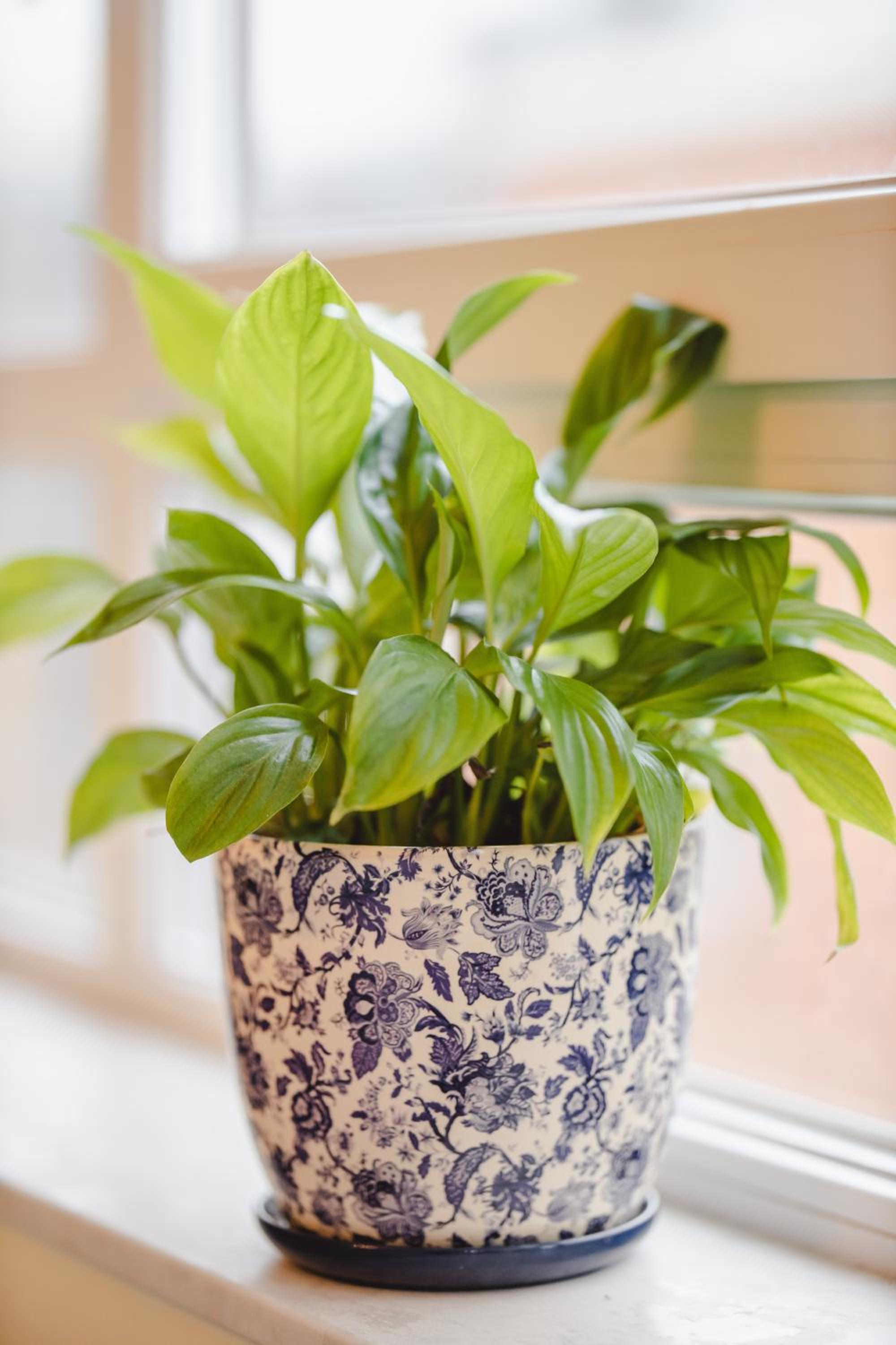 other