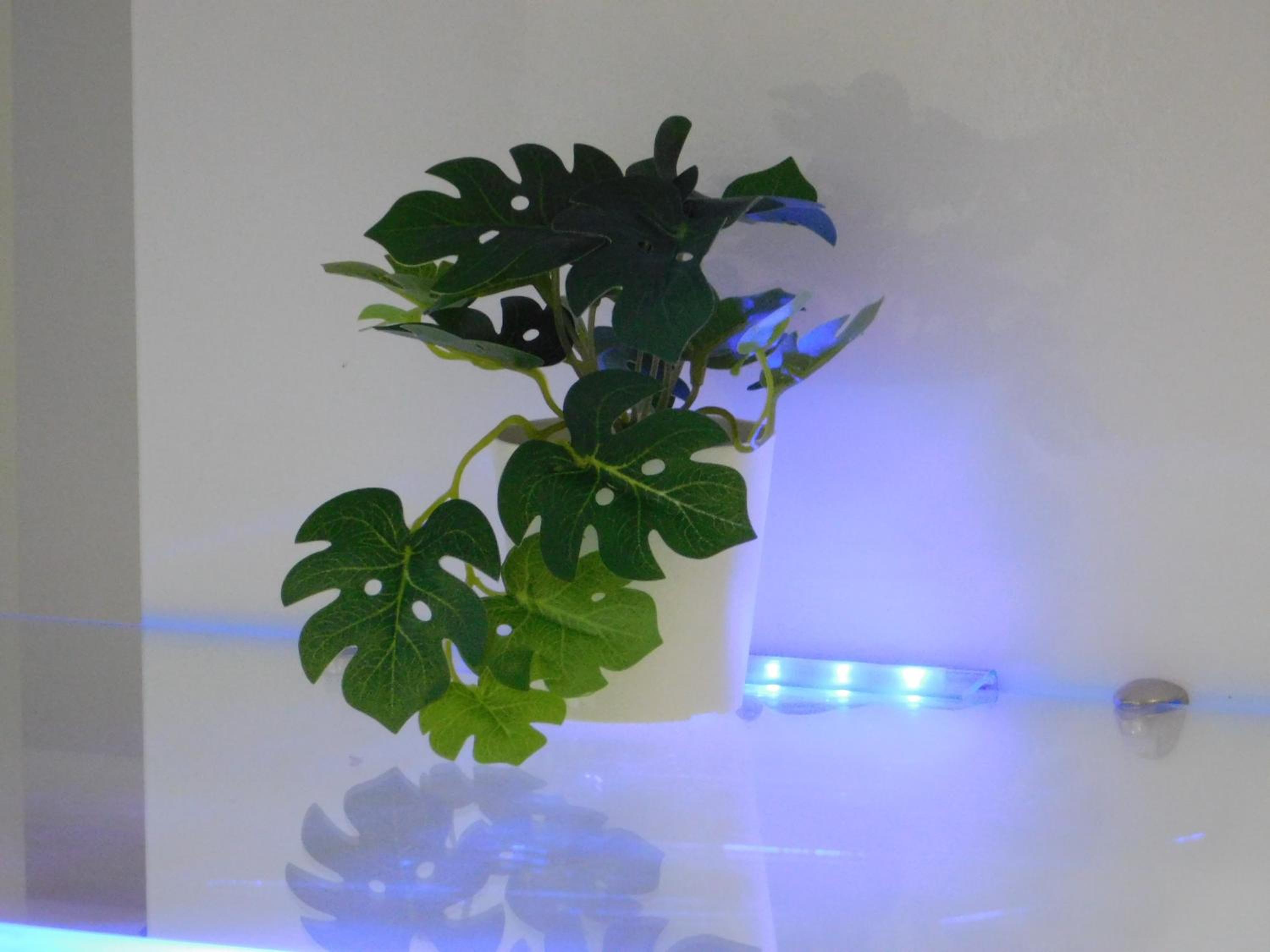 Photo 43