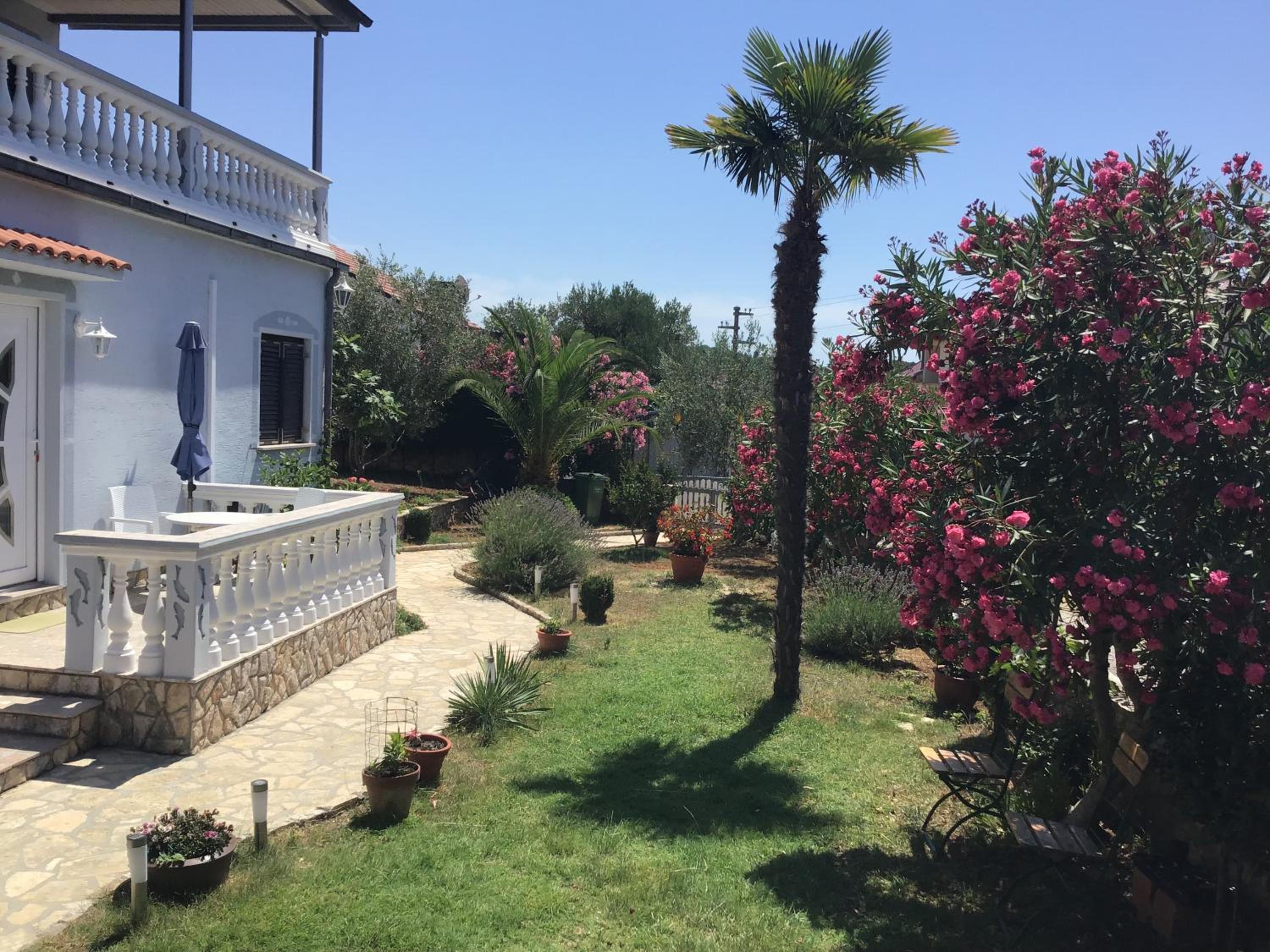 Apartmani Misic view 3