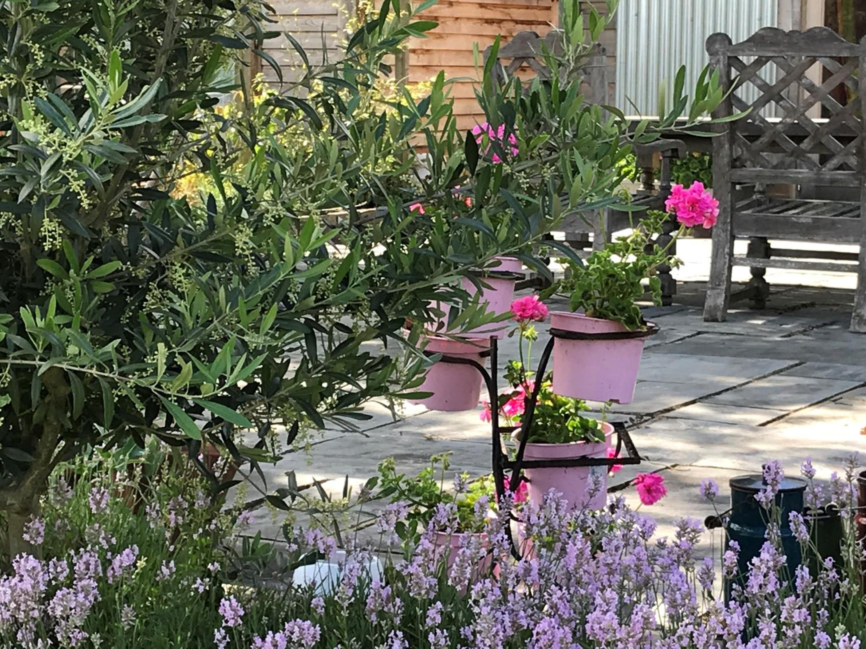 Photo 18