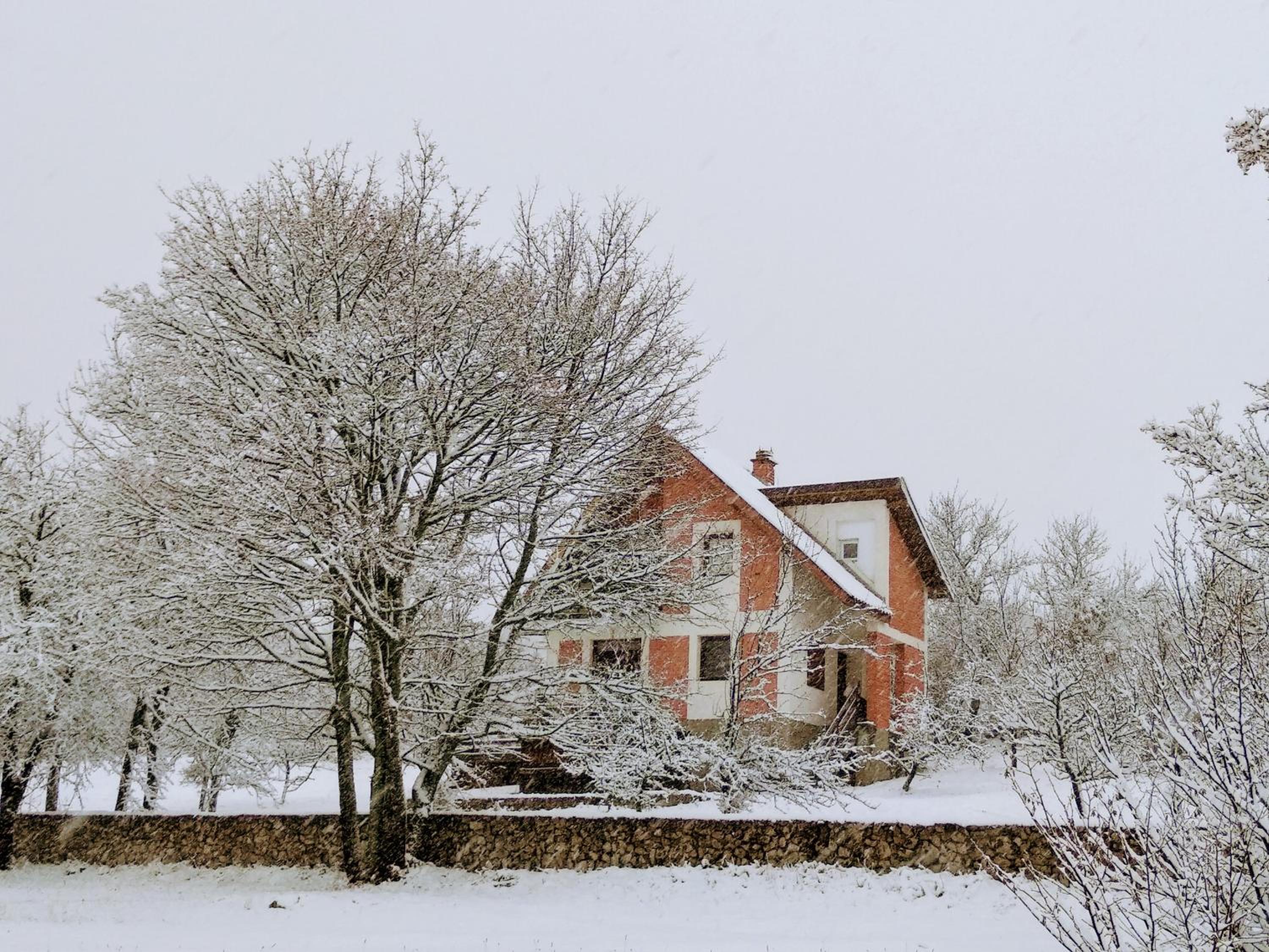 Photo 43