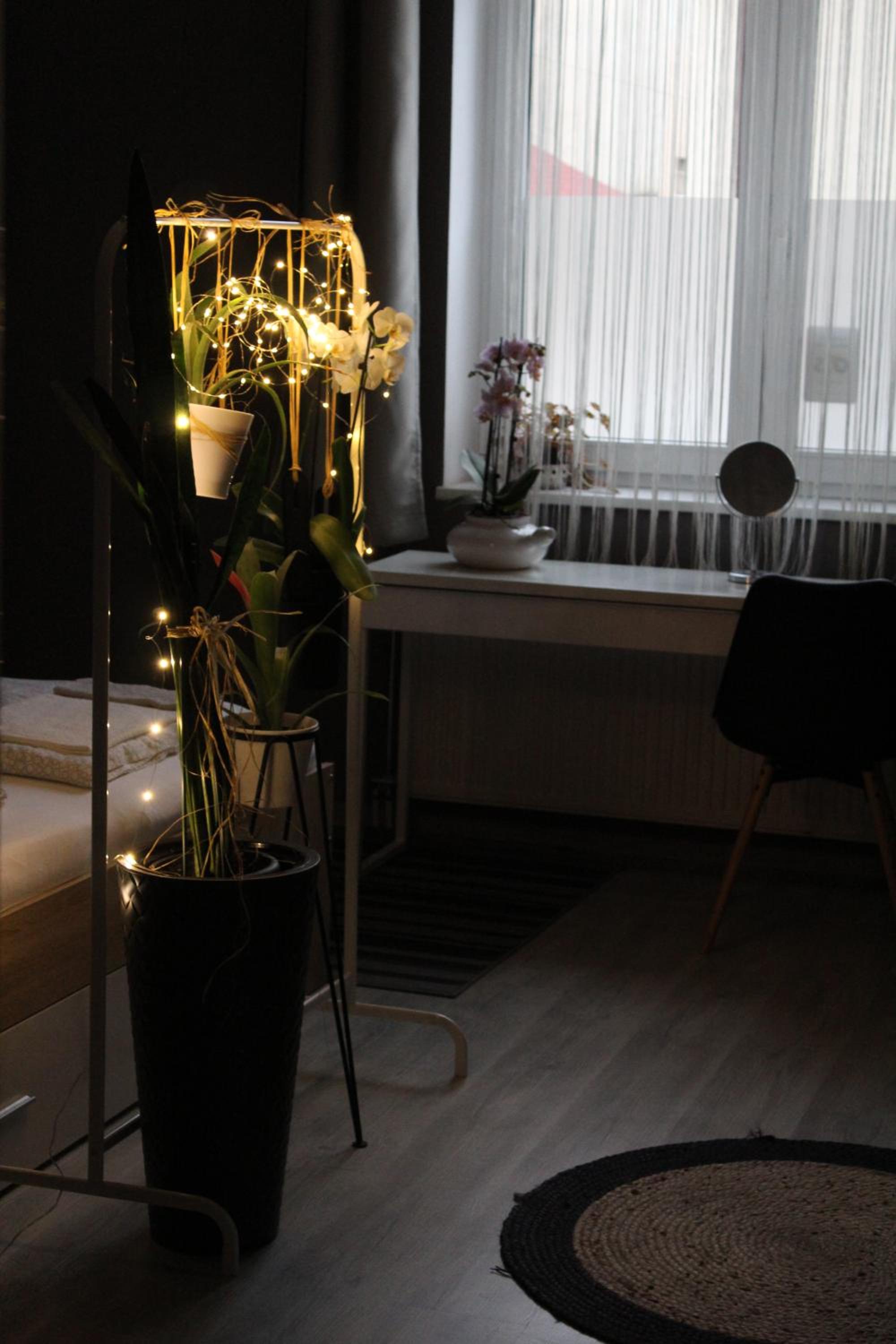 Viky Apartment view 3