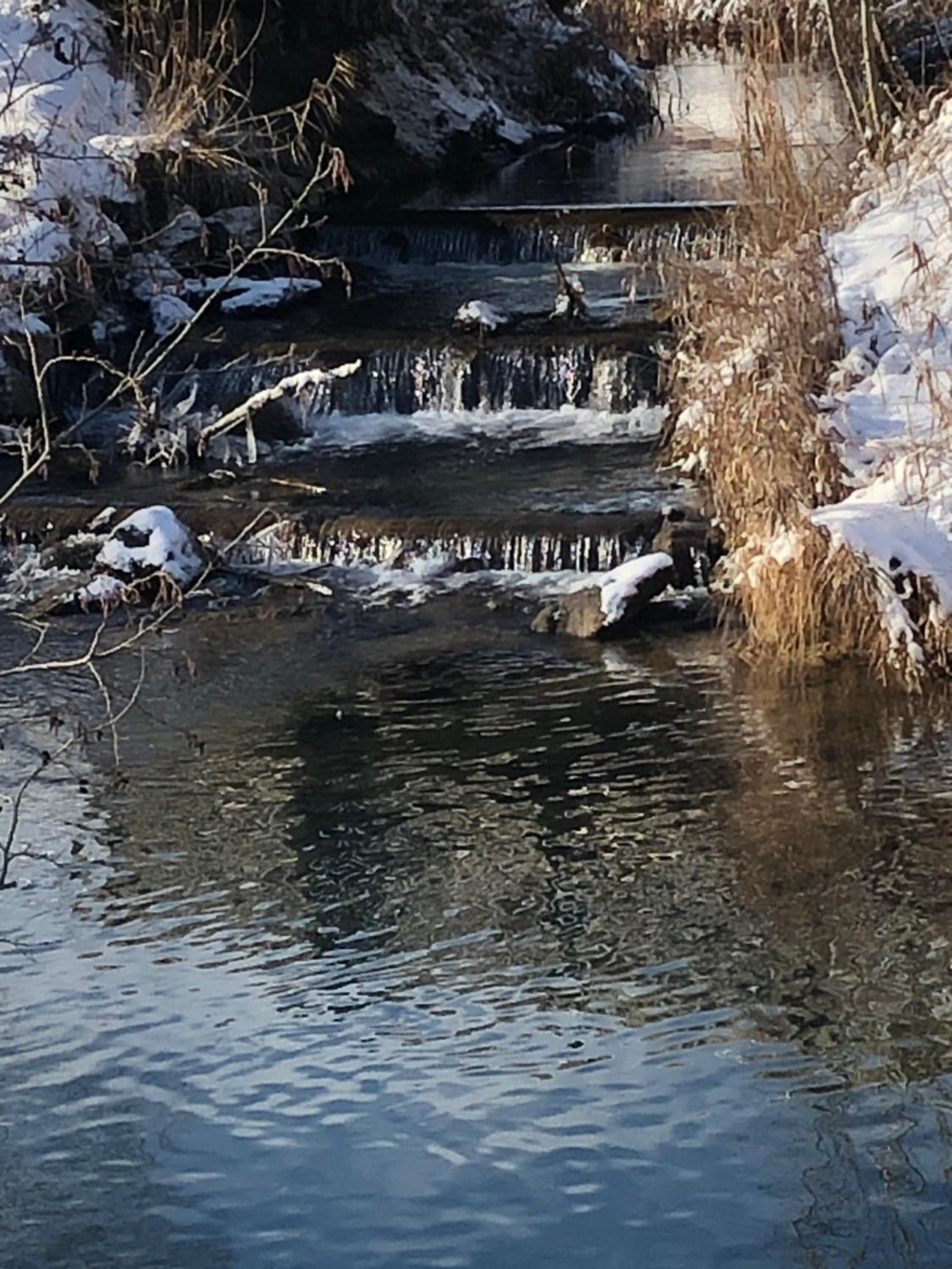 Photo 48