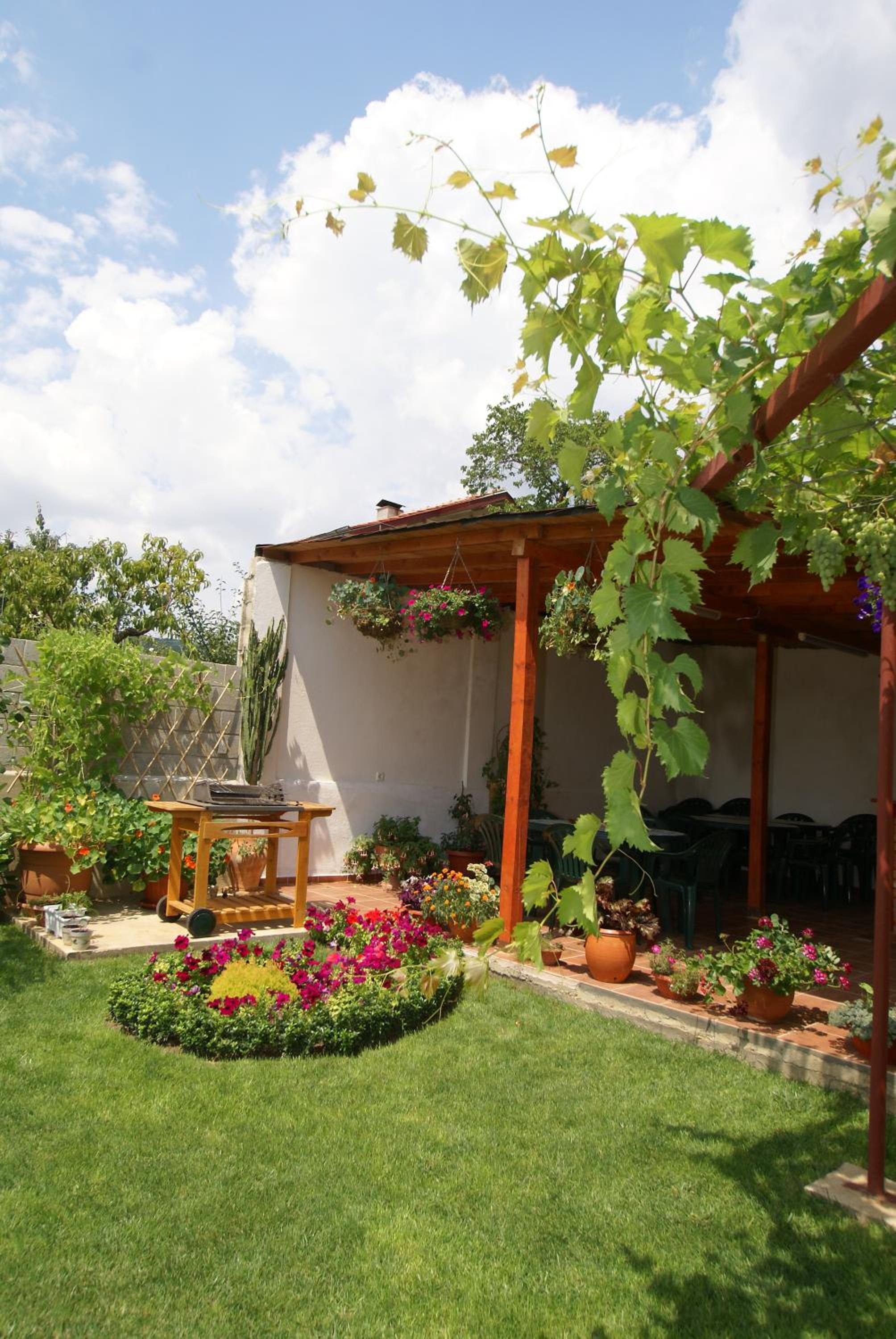 Guest House Kiwi