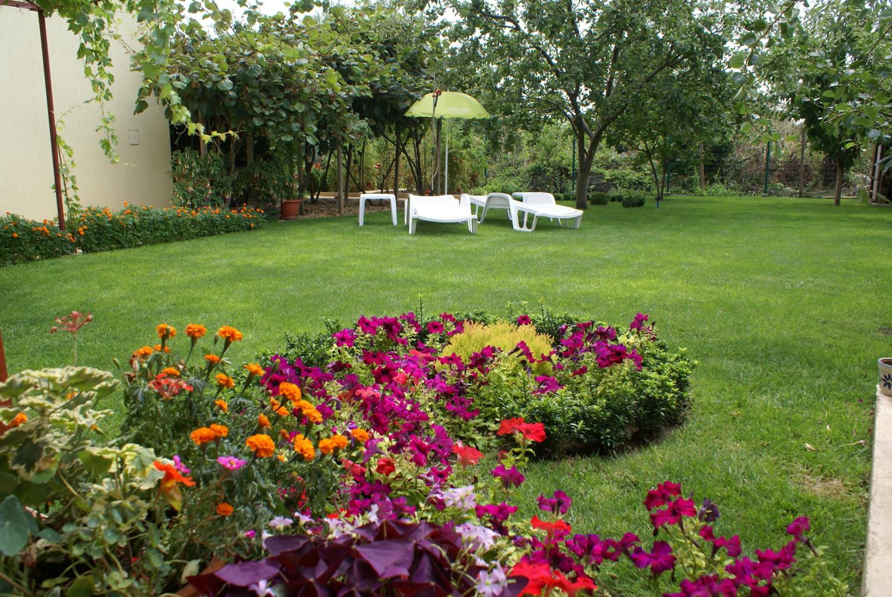 Guest House Kiwi