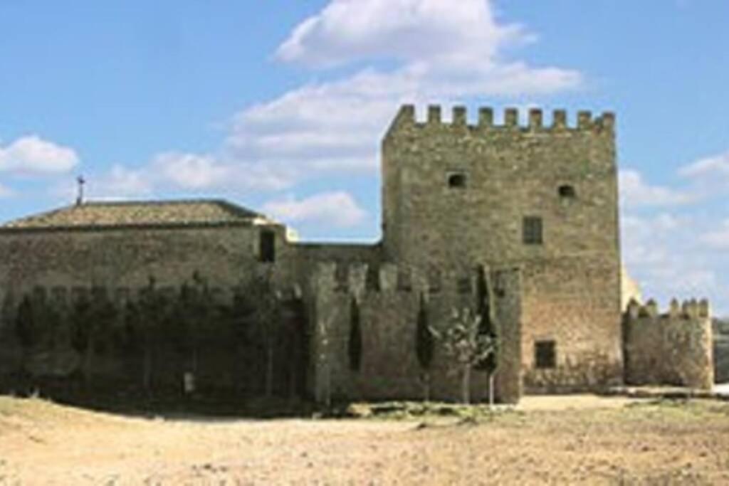Photo 19