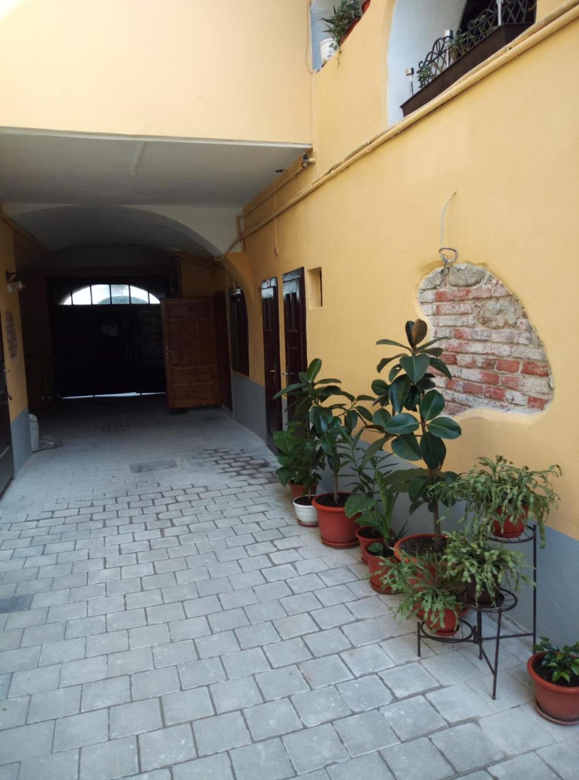 MSH Rustic apartment - Liars Bridge Sibiu view 4
