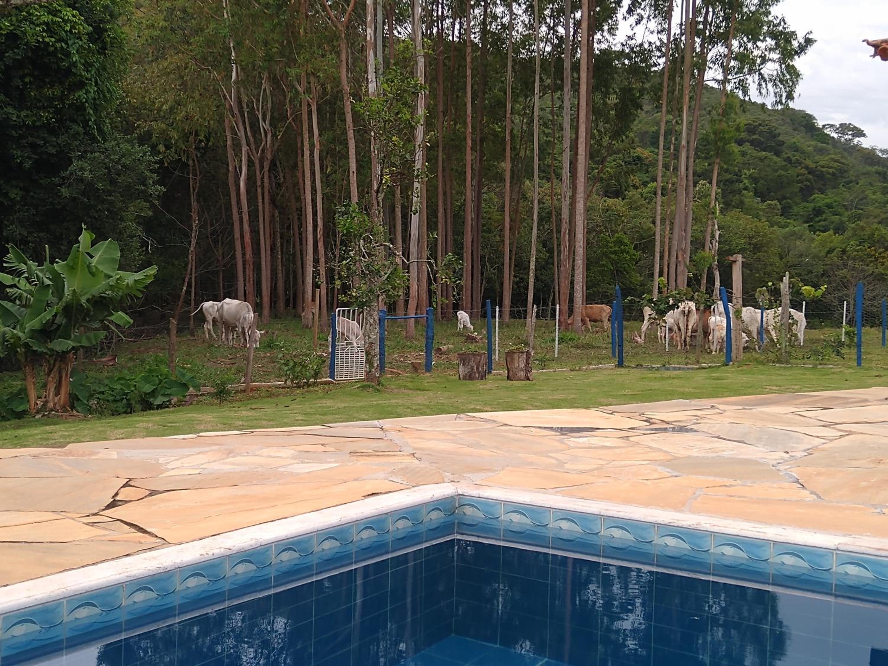 Sítio Pé da Serra - Pousada Rural