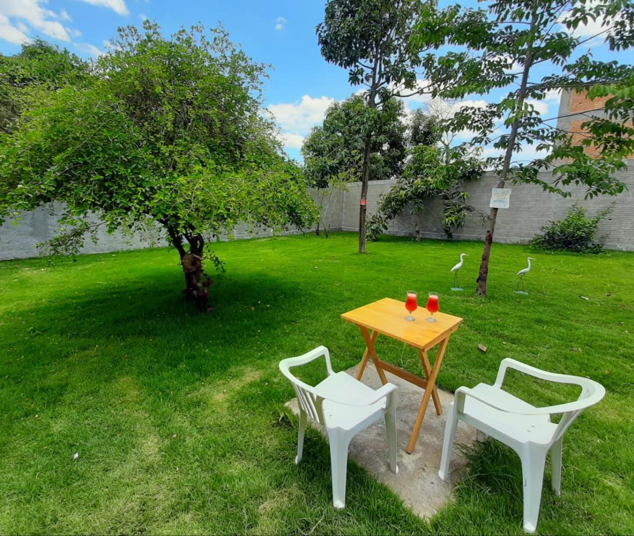 Villa Flor e Cor