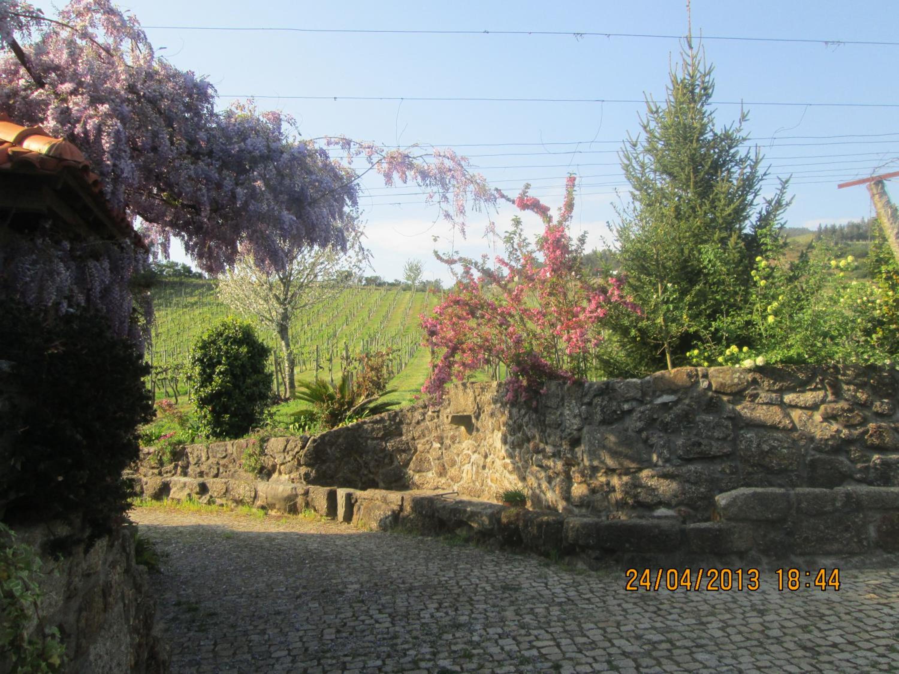 Quinta de Lourosa