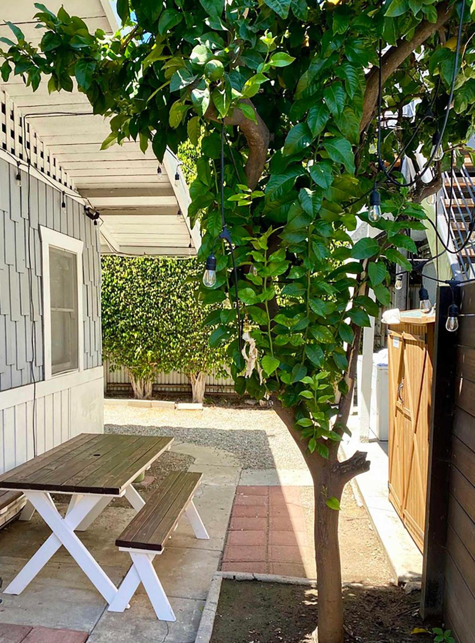 Hollywood's Garden Paradise at World Artists Living