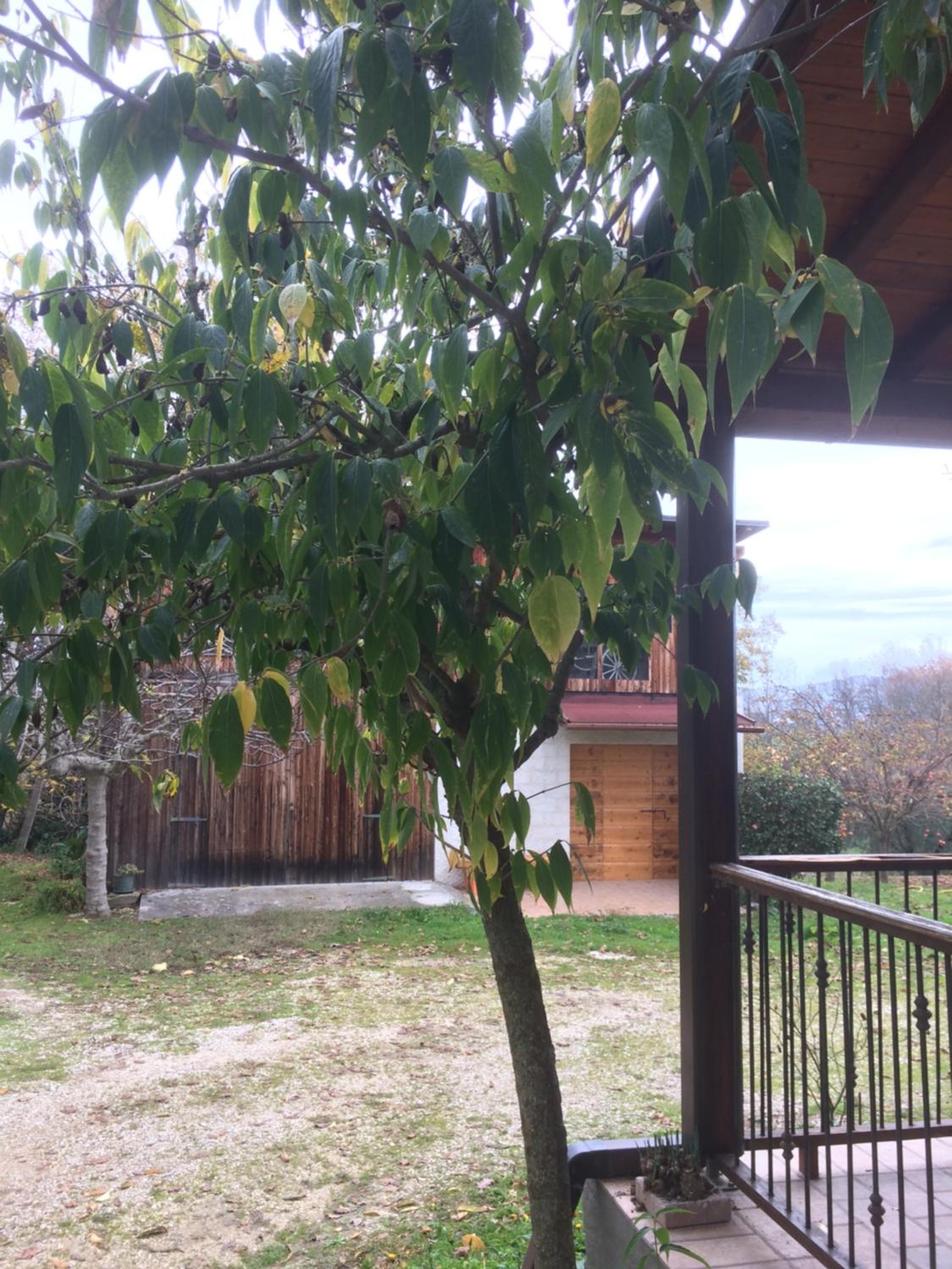 Photo 33