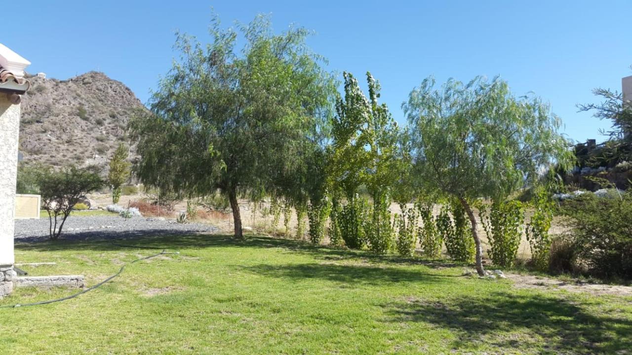 Casa Torrontés - Viñedos de Cafayate Alquiler Temporario