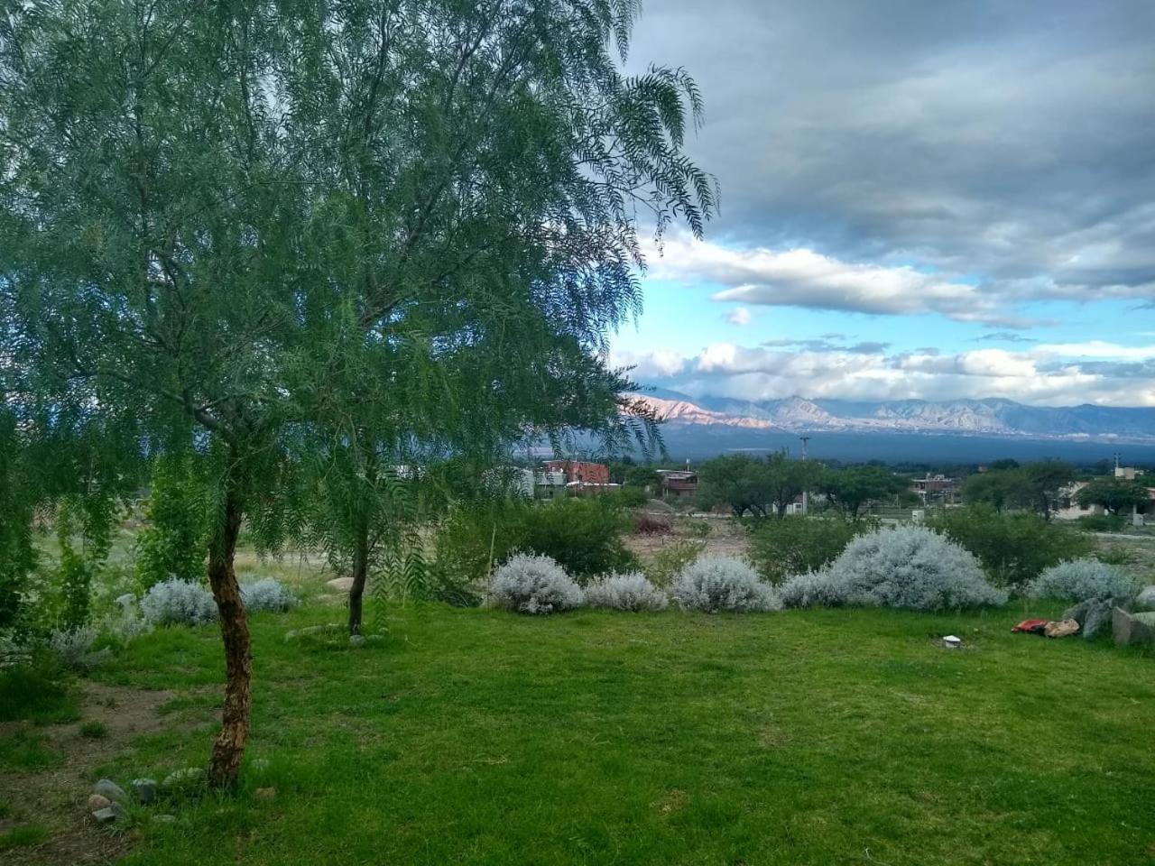 Casa Torrontés - Viñedos de Cafayate Alquiler Temporario