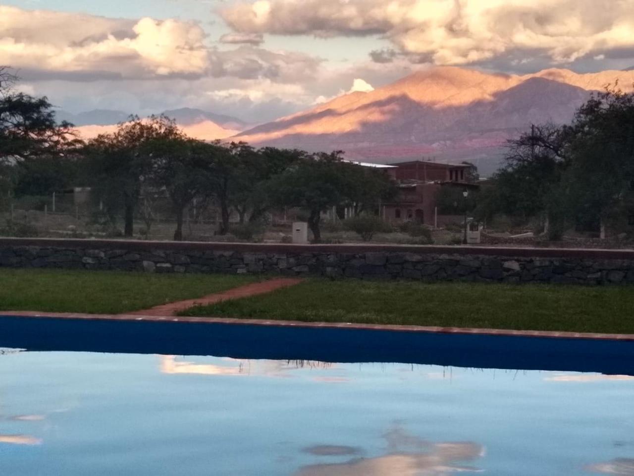 Casa Torrontés - Viñedos de Cafayate Alquiler Temporario