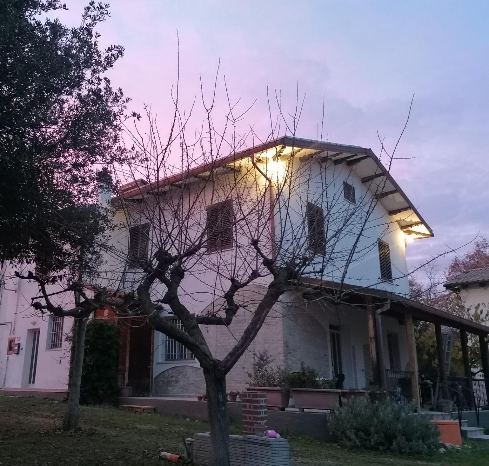 Photo 47