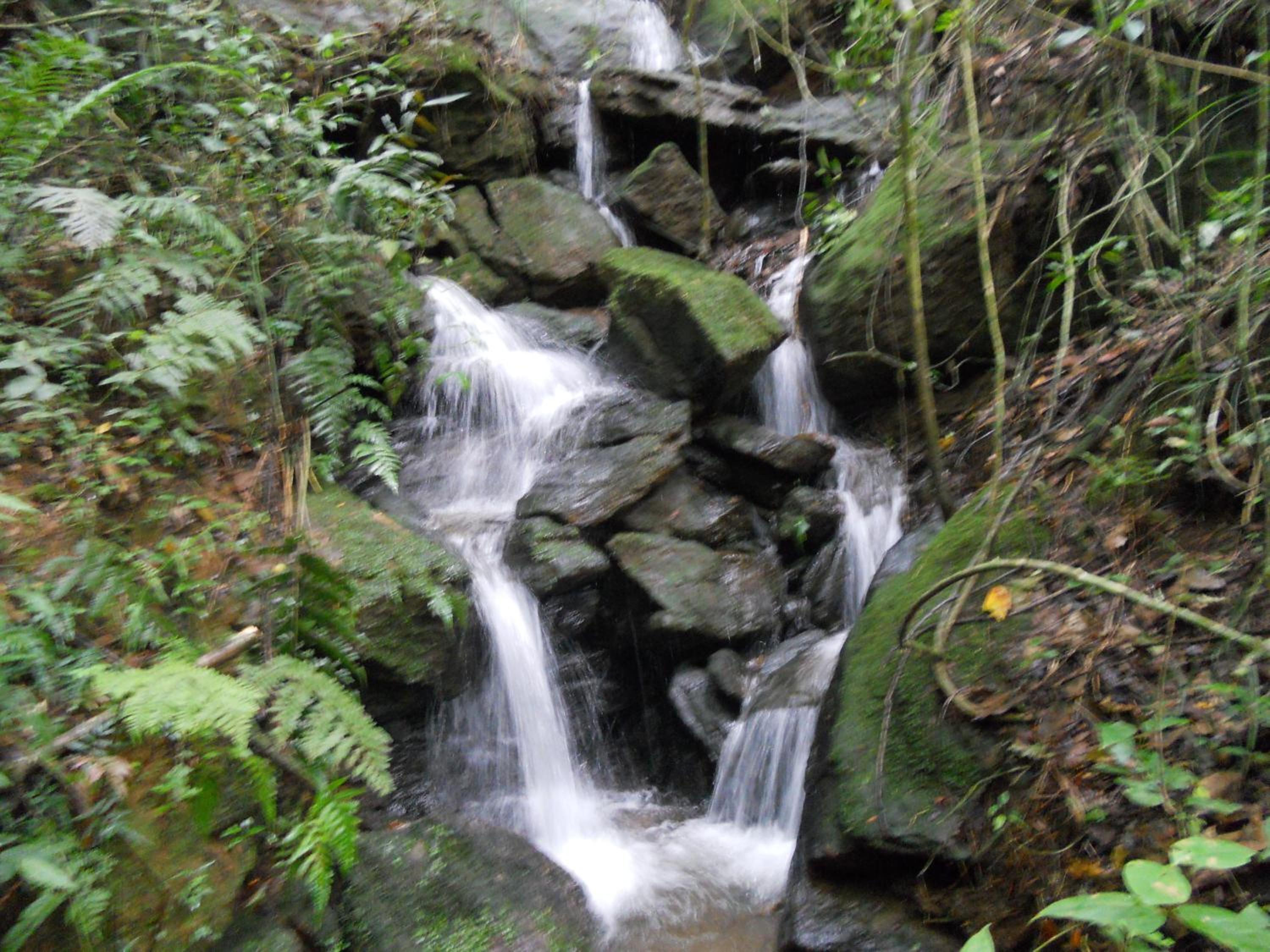 Chalés Serrinha do Papagaio view 5