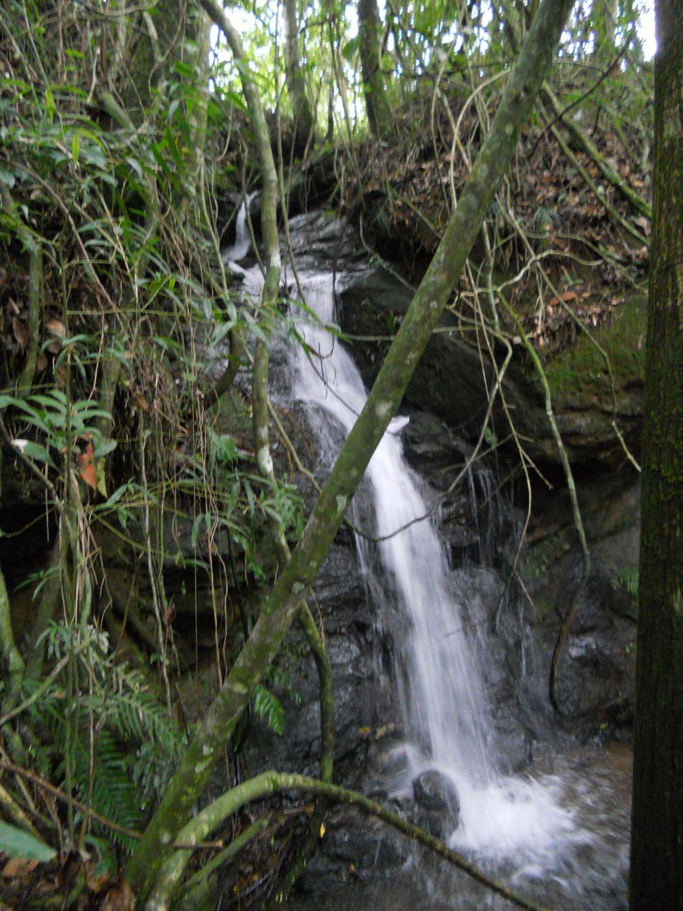 Photo 47