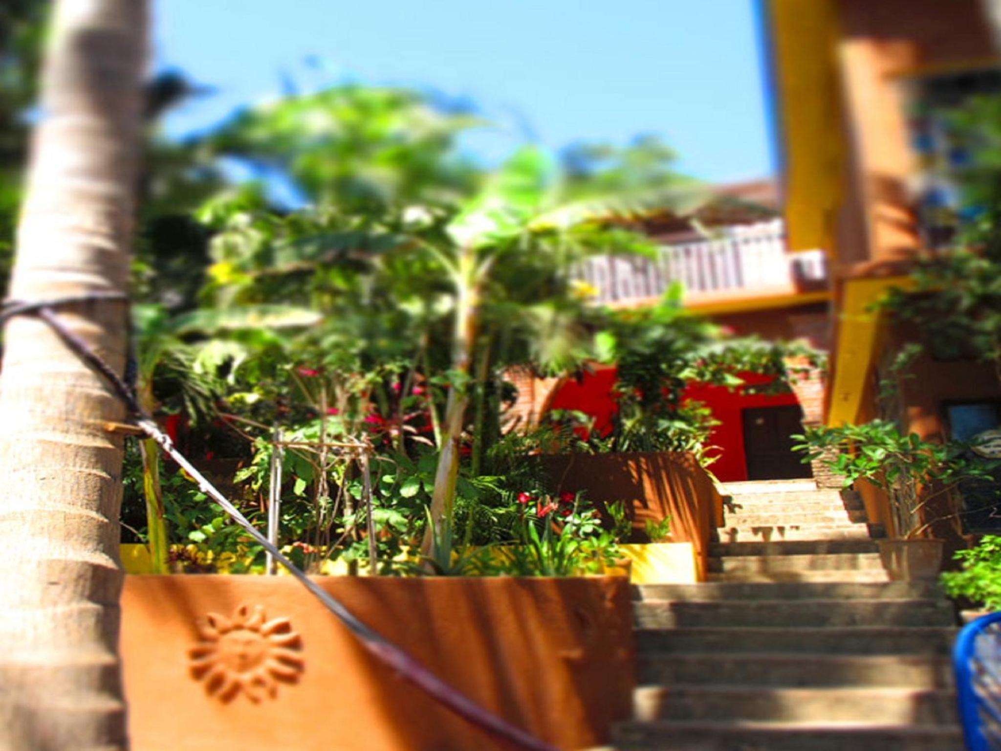 Hotel Posada Paloma - Image 1