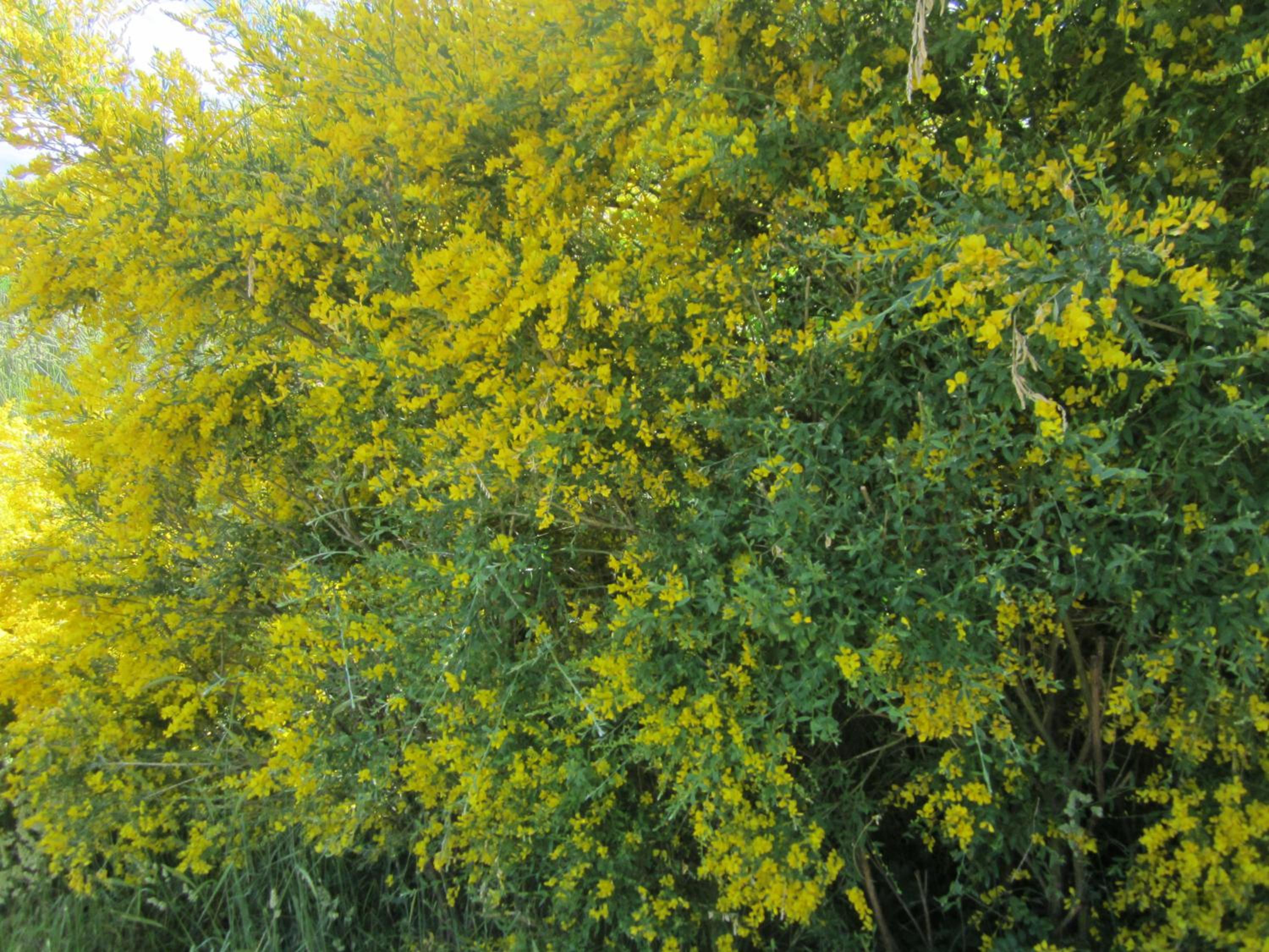 Photo 27