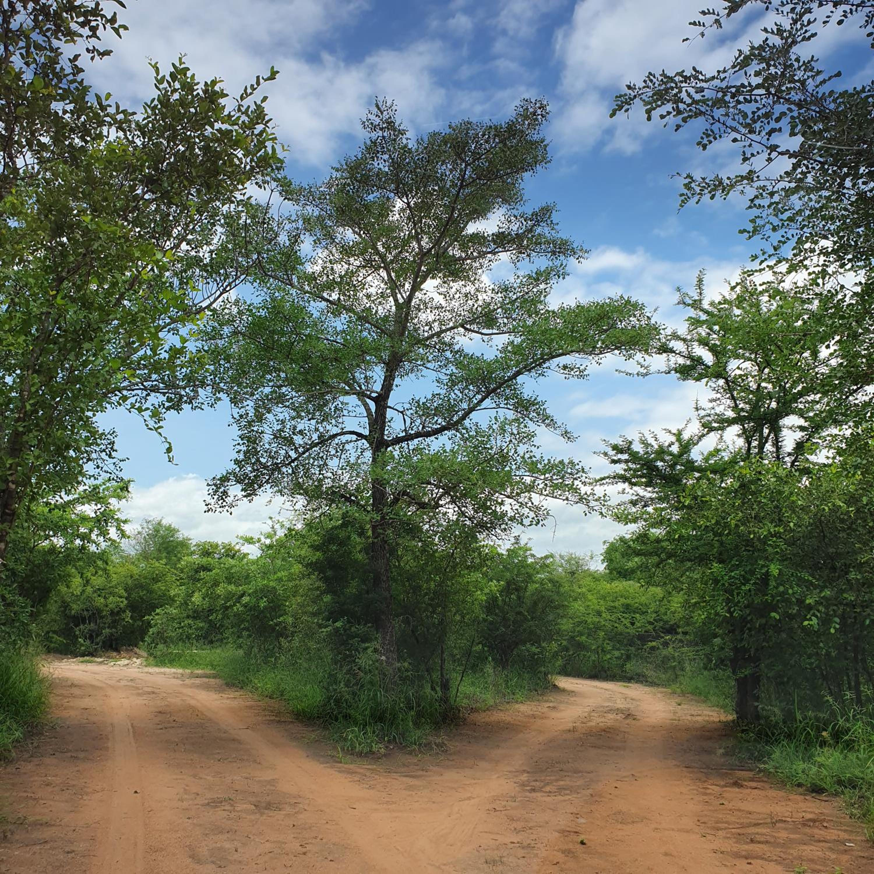Rhumbini Lodge view 3