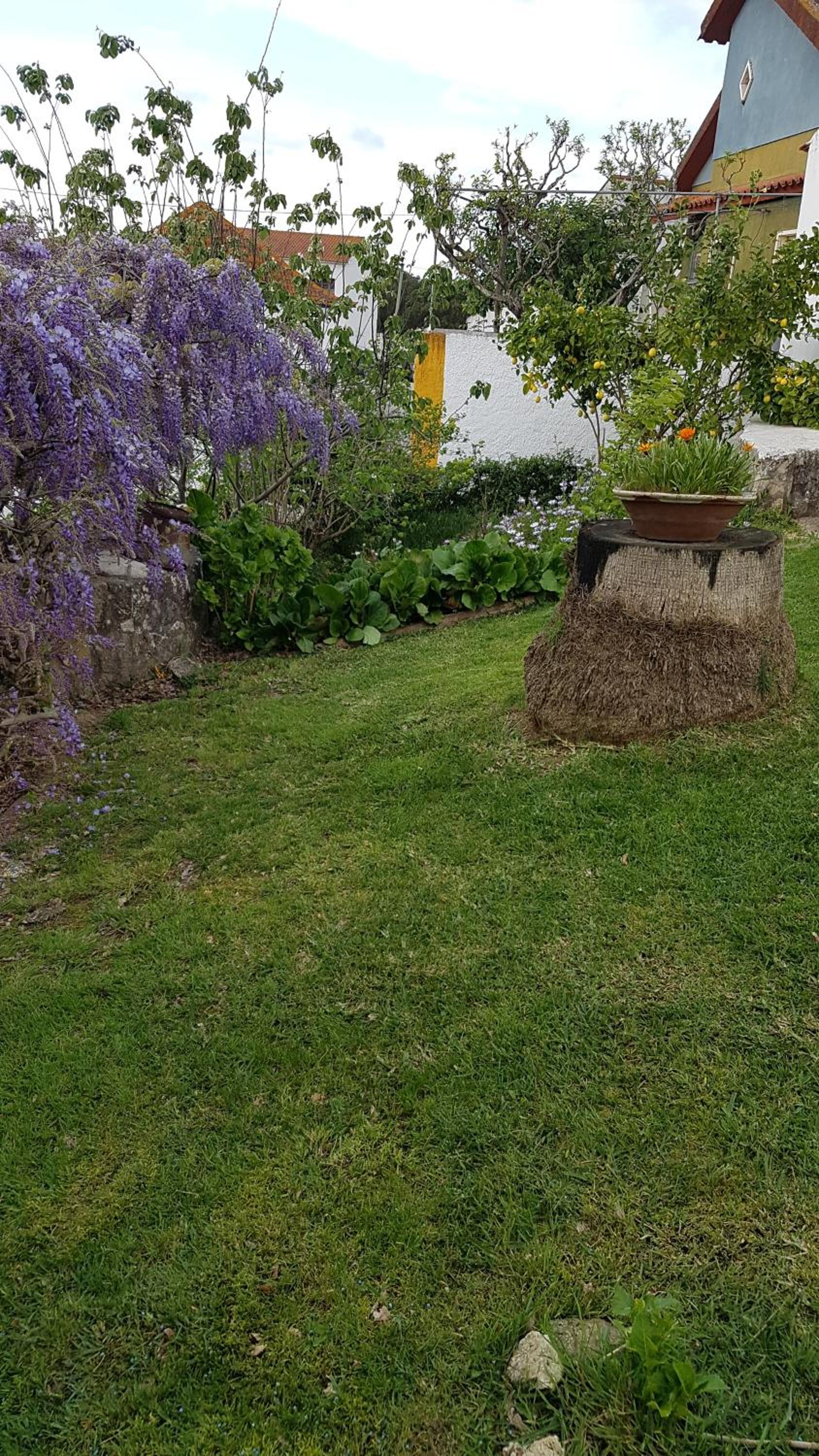 Photo 37