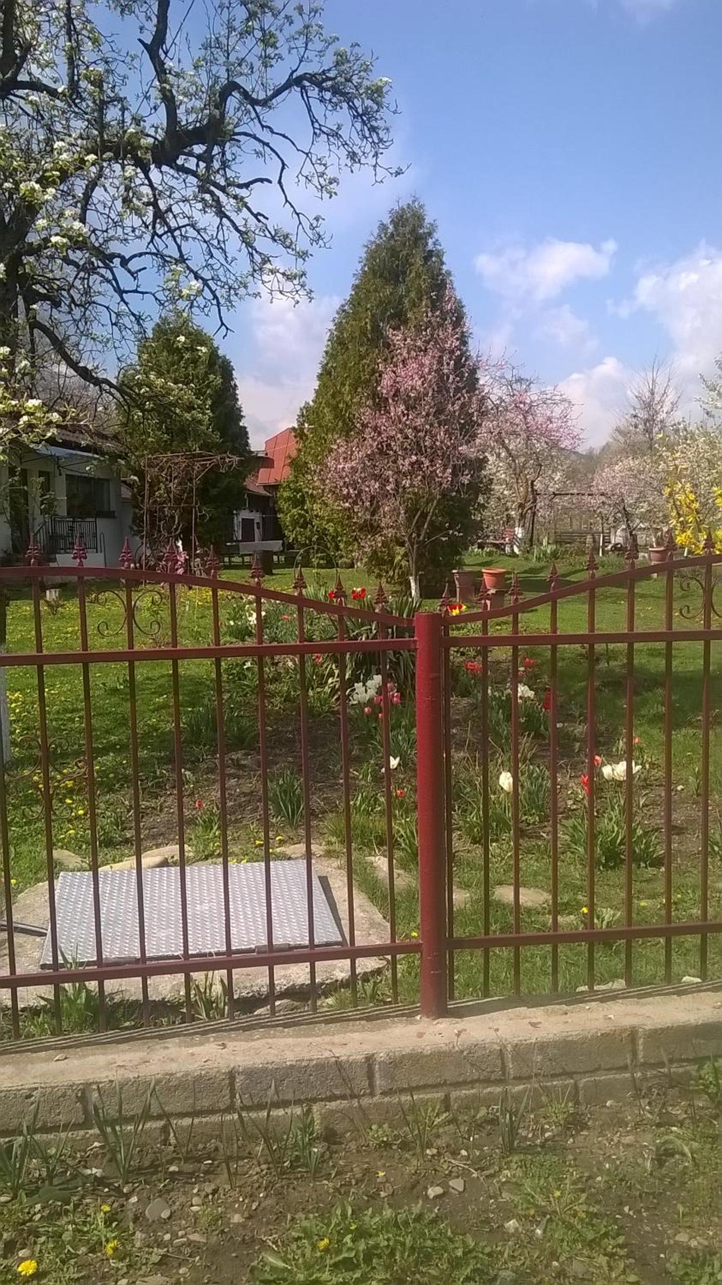 Photo 28