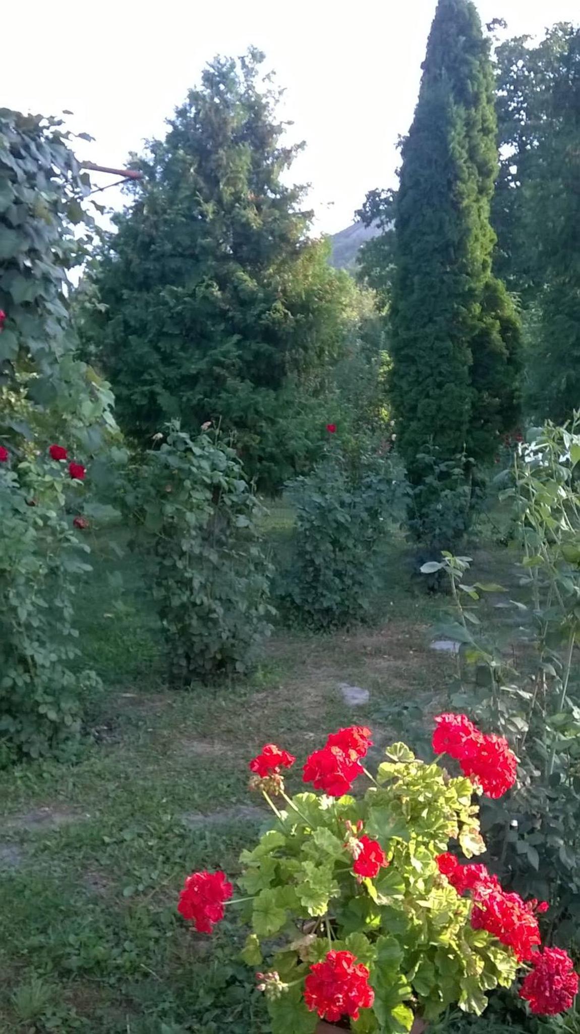 Photo 24