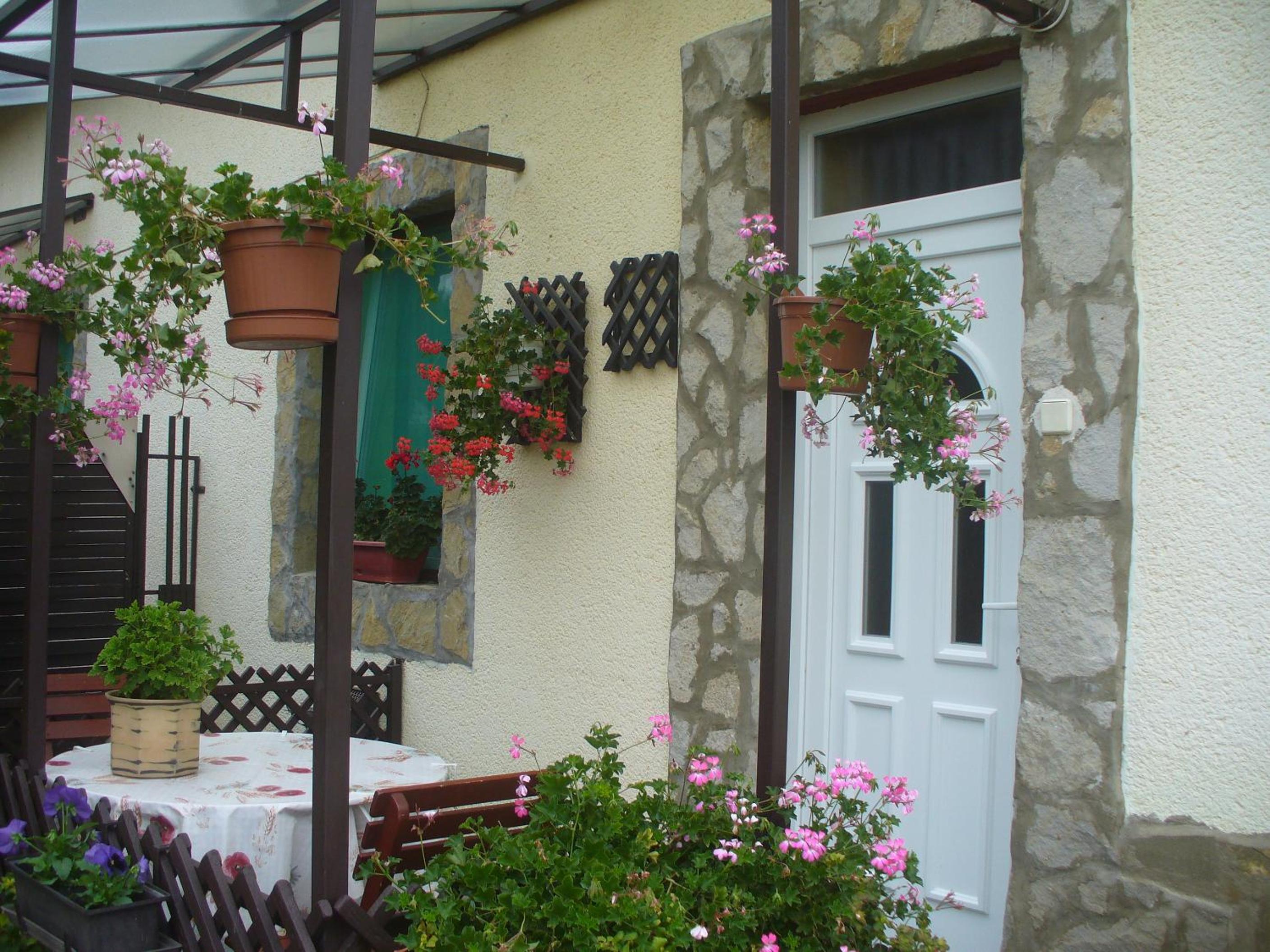 Pleiveisz Apartman view 3