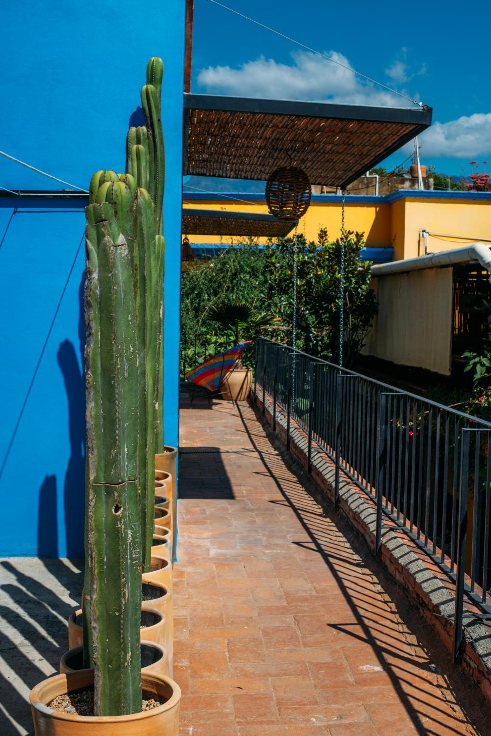 Azul Cielo Hostel, photo 103