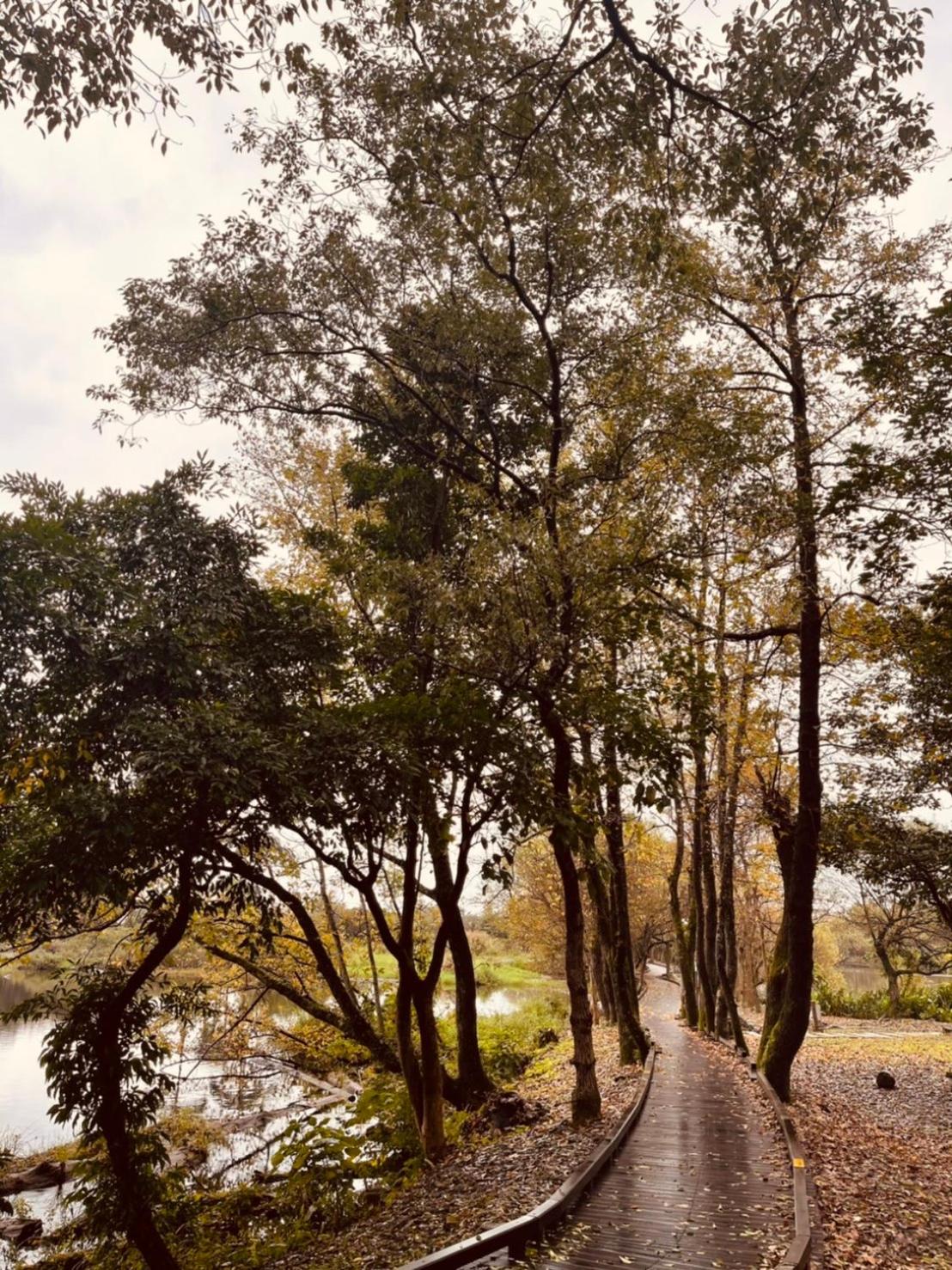 Early Summer
