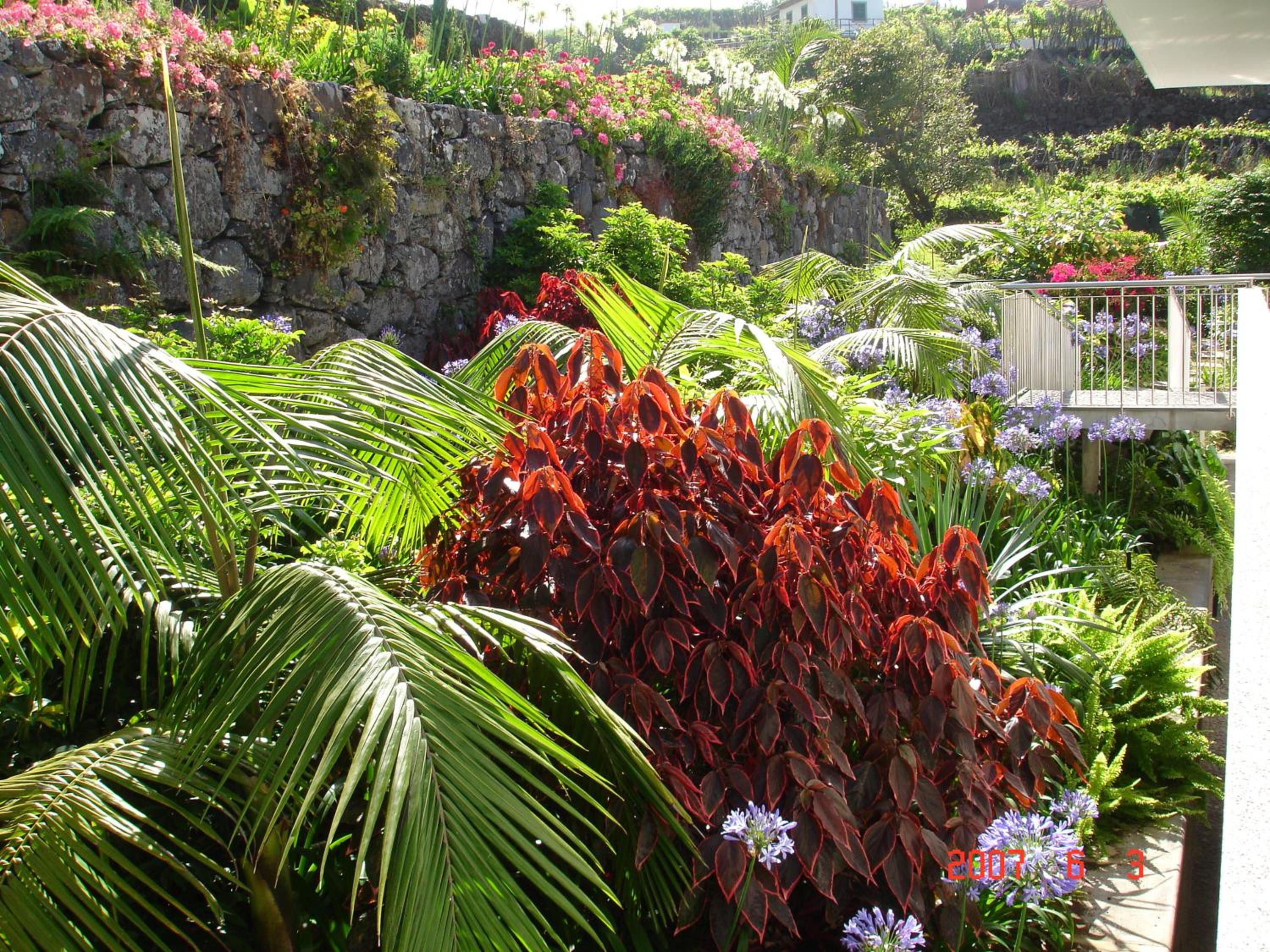 Casa da Capelinha 照片第 29 張,共 109 張