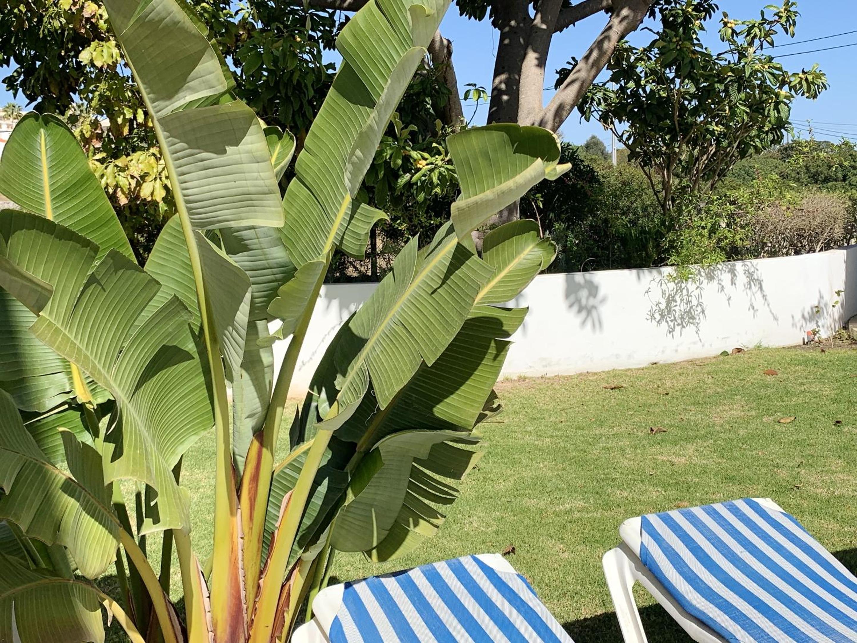 Charming House in Carvoeiro + Pool