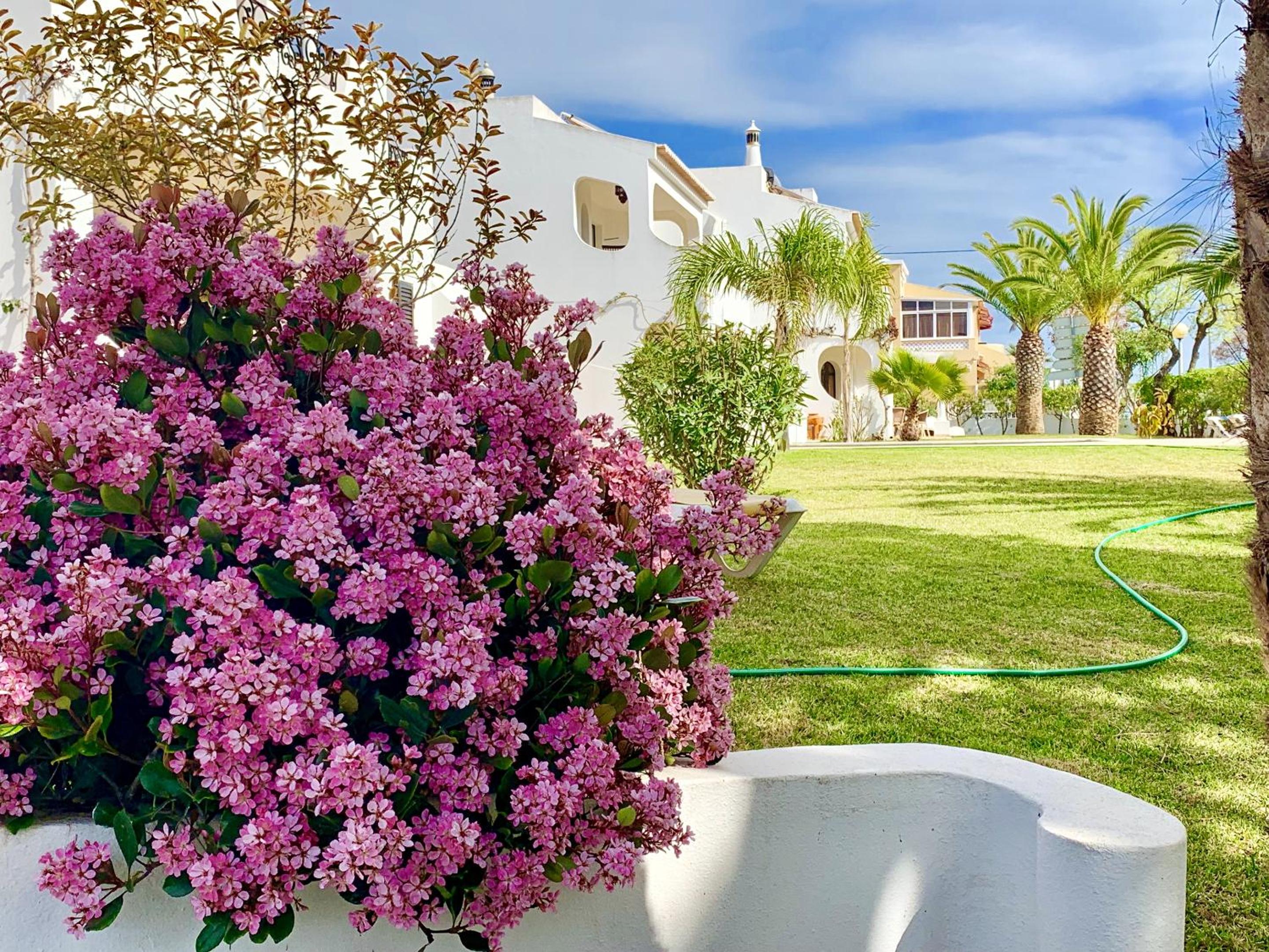 Charming House in Carvoeiro + Pool