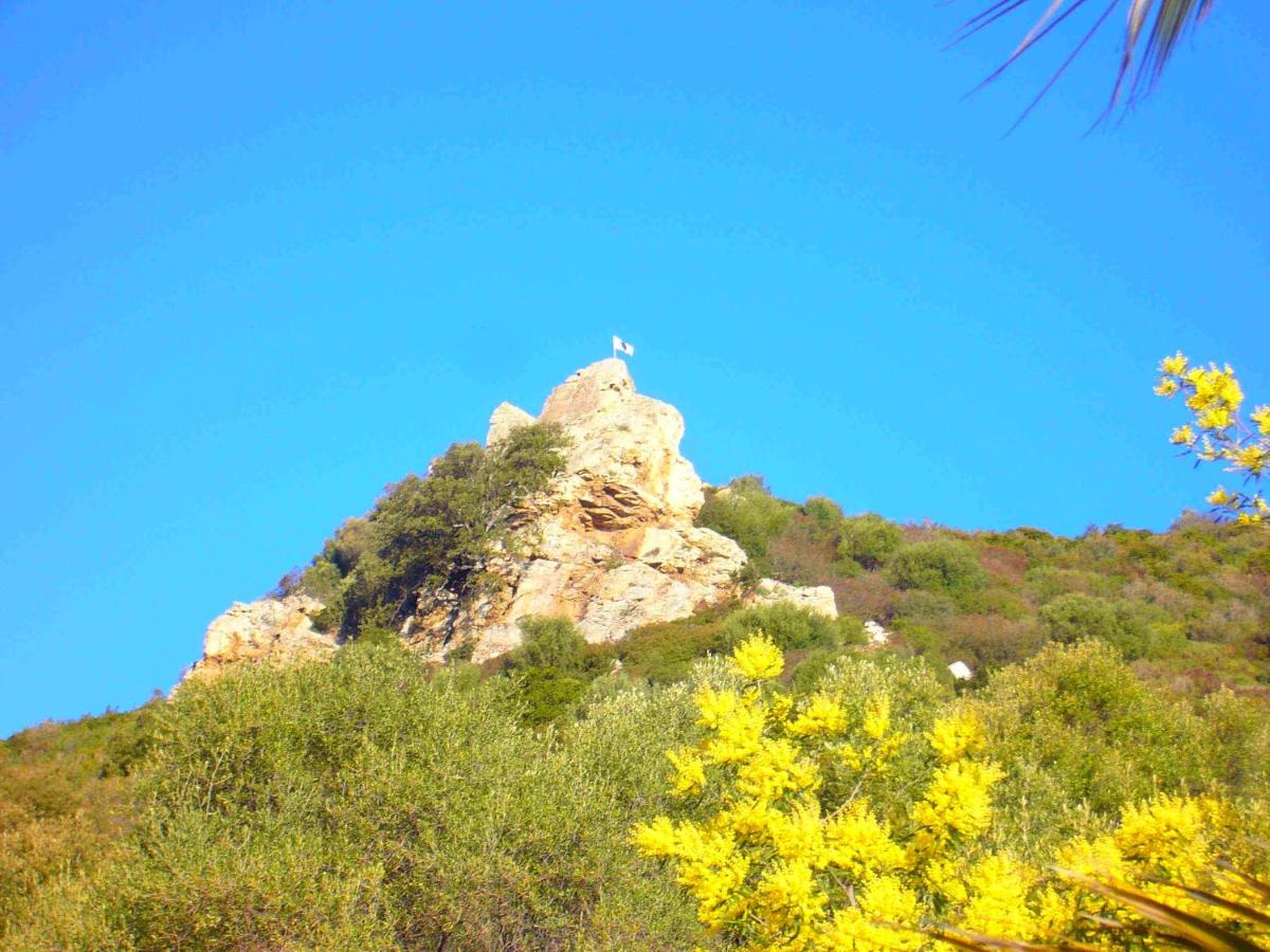 Photo 28