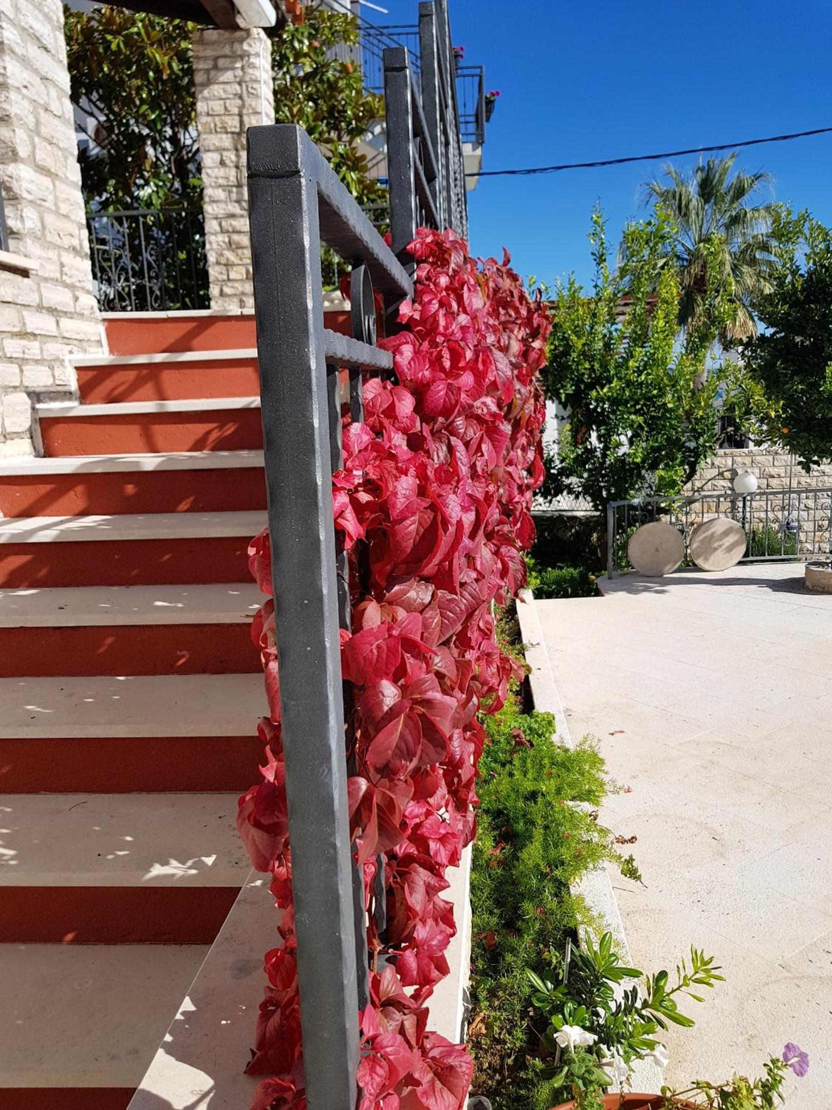 Spacious Villa in Seget Vranjica with Private Pool