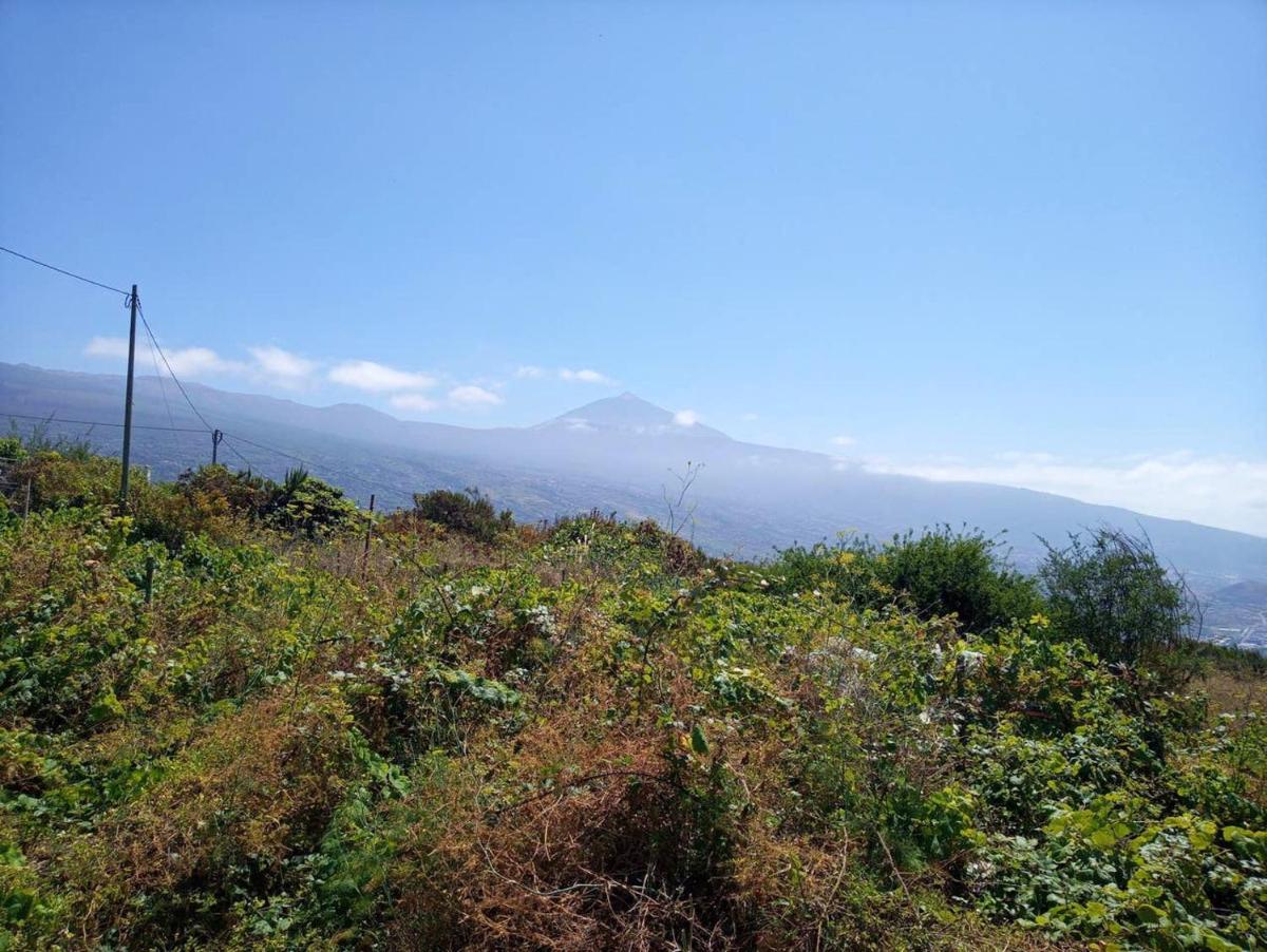 2 bedrooms house with sea view and terrace at La Orotava 7 km away from the beach view 4