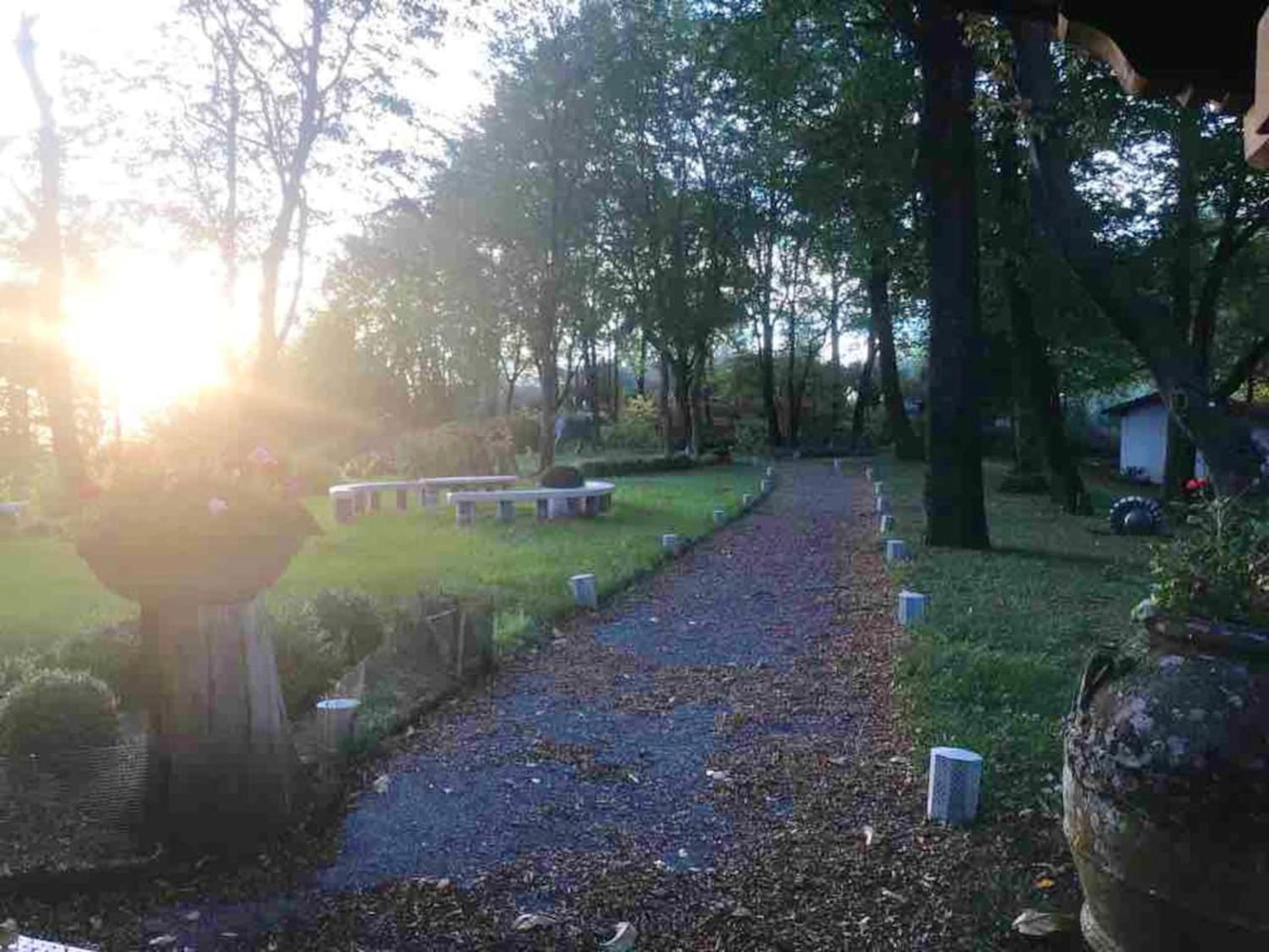 Photo 51