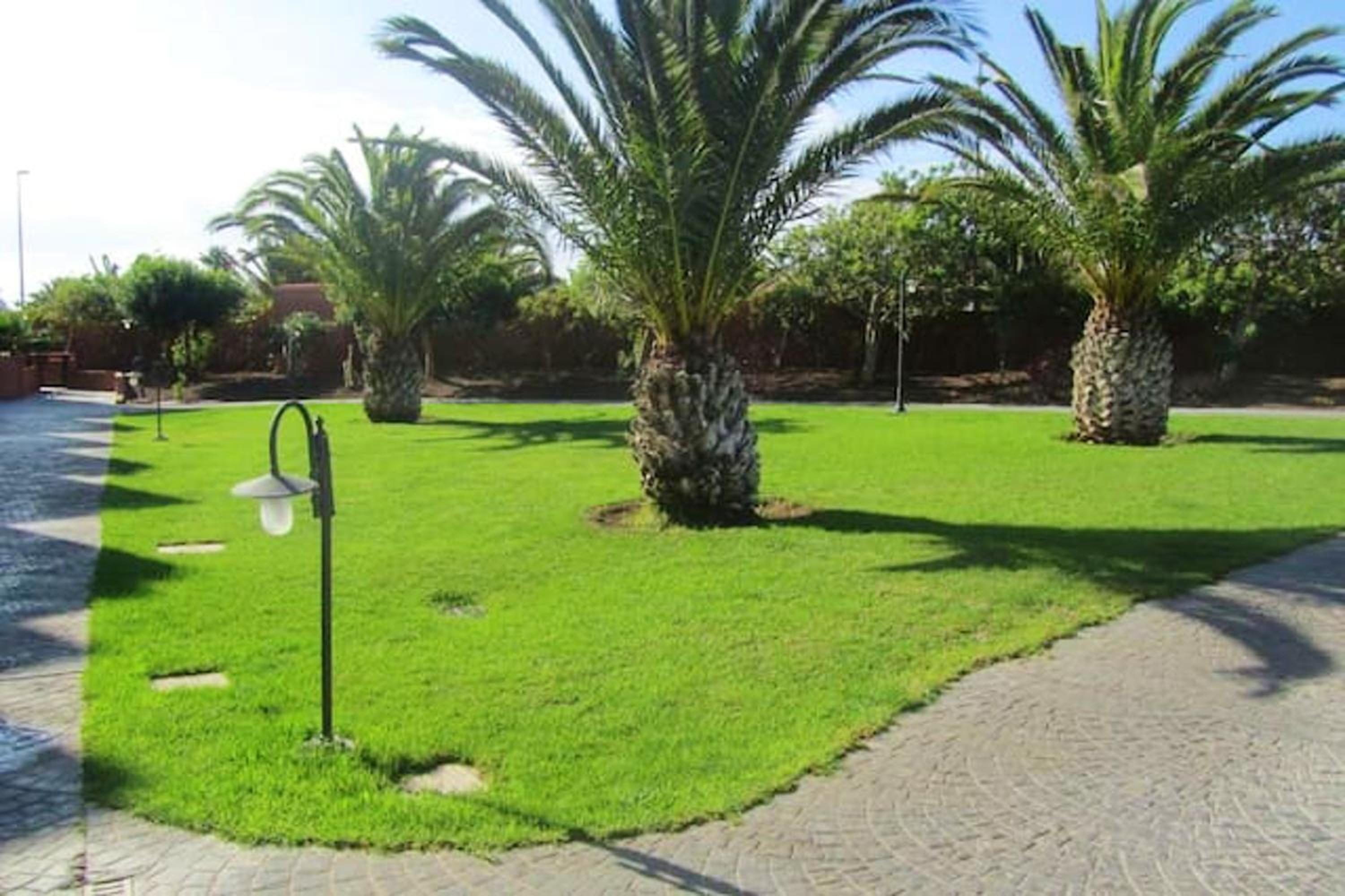Cosy apartment in Granadilla with sea view