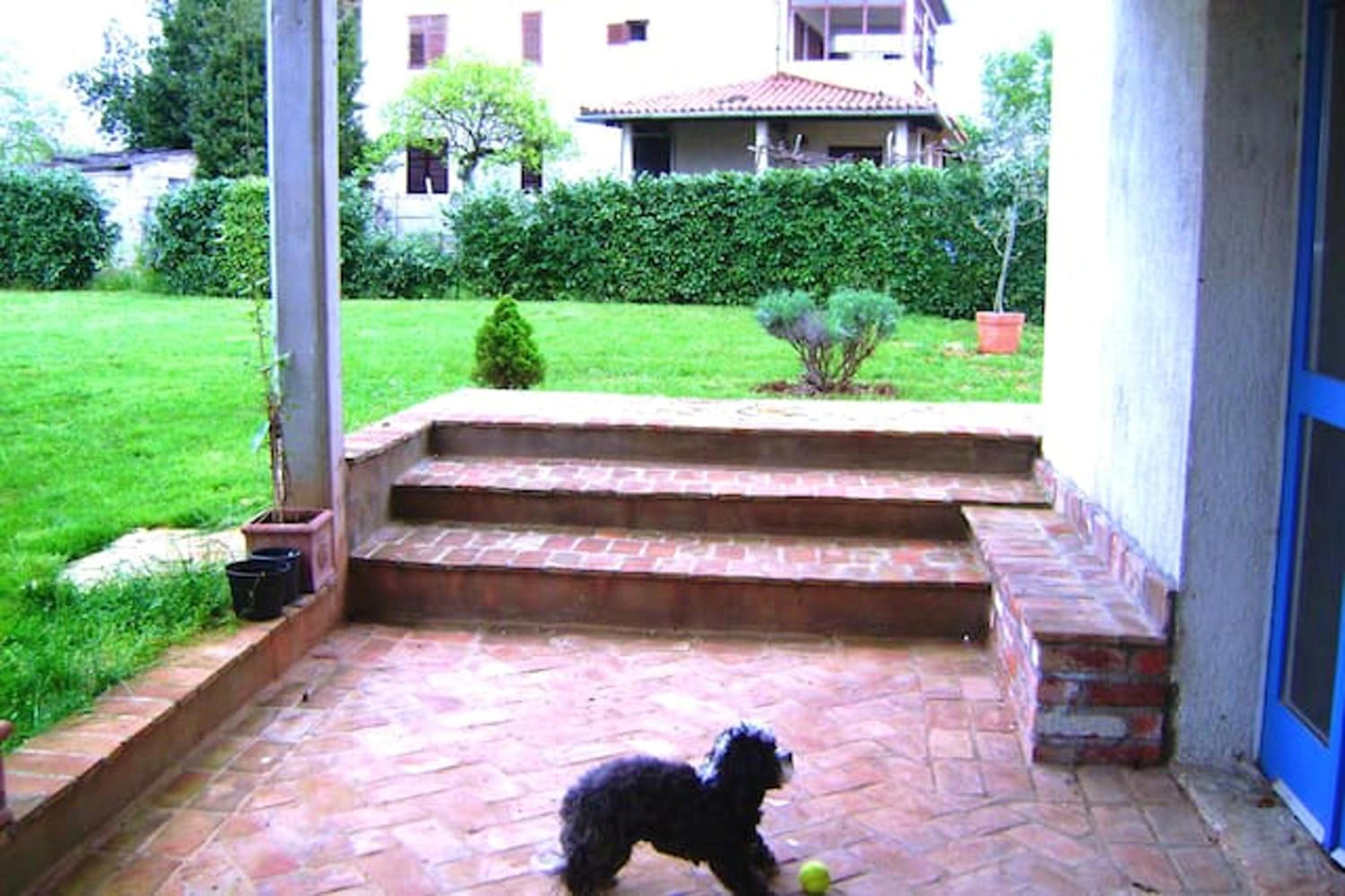 Photo 10