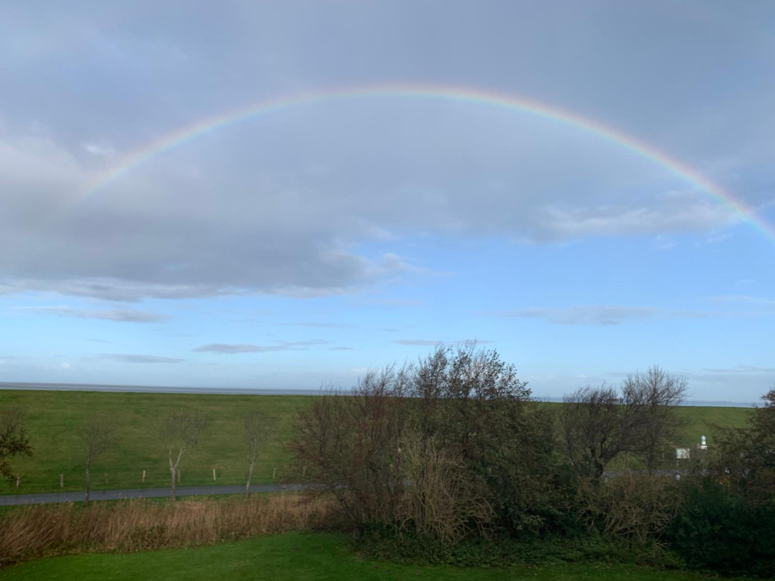 Grüne Düne Meerblick Friedrichskoog Spitze